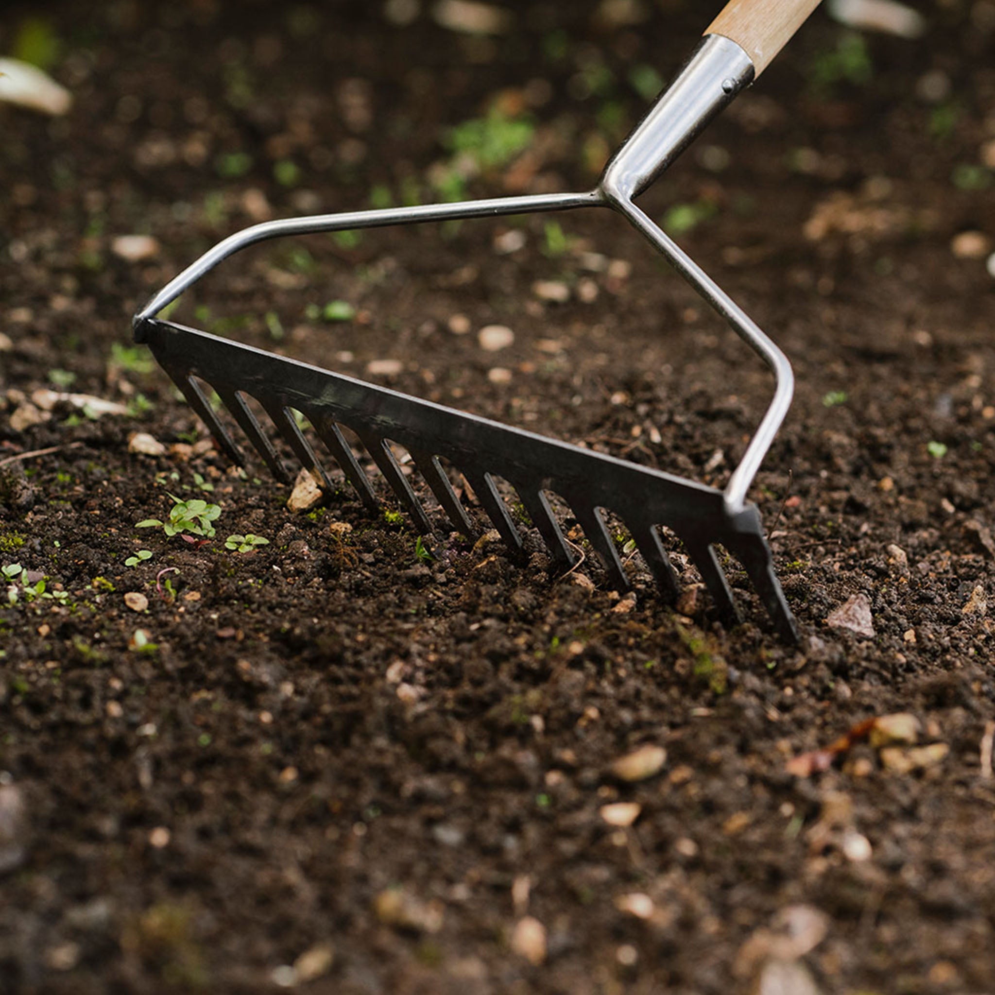 kent-stowe-edelstahl-bodenrechen-soil-rake-langstiel image 4