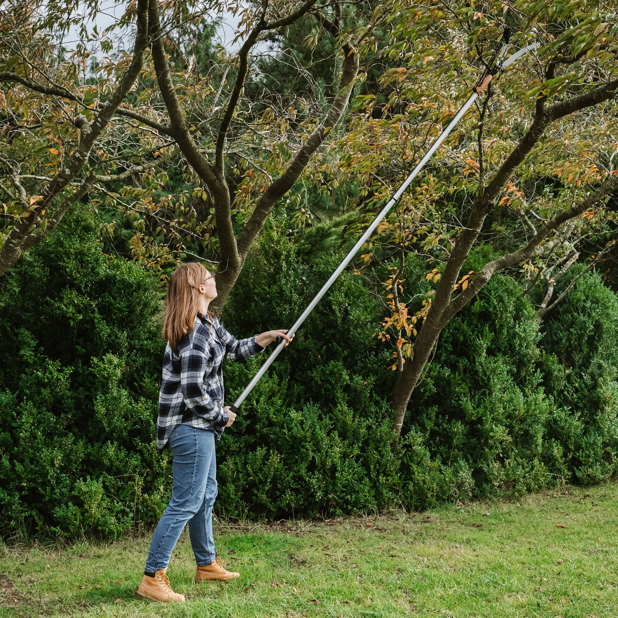 kent-stowe-telescopic-tree-lopper-3m-baumschnittschere image 6