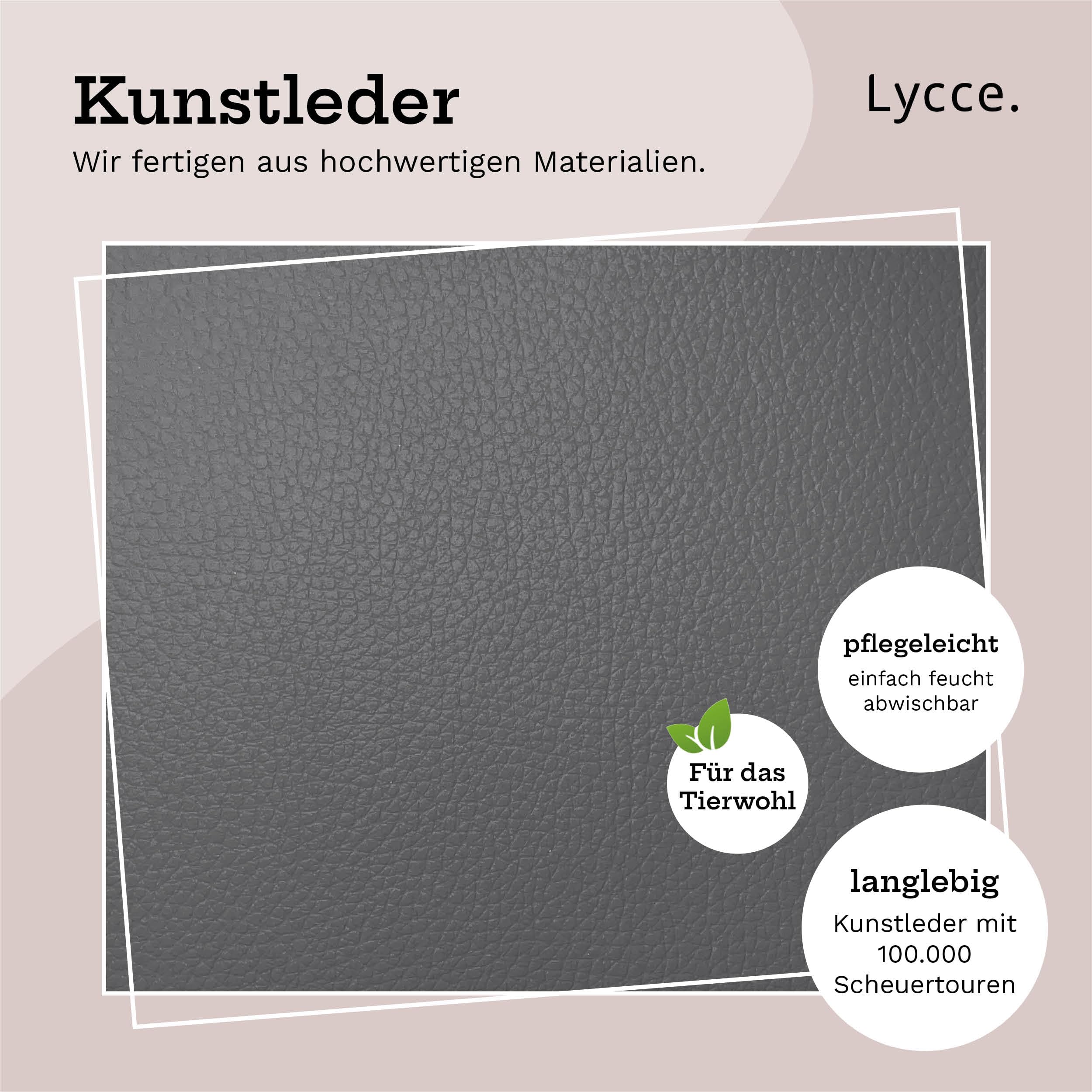lycce-bankauflage-klemmkissen-kunstleder-1-leiste-grau-40x38x8-cm image 5