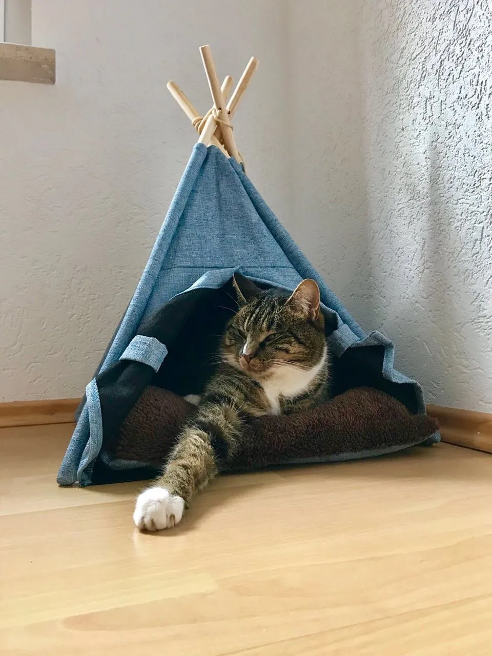 lycce-tipi-zelt-jeans-eckiger-eingang-f-r-kleine-hunde-und-katzen image 1
