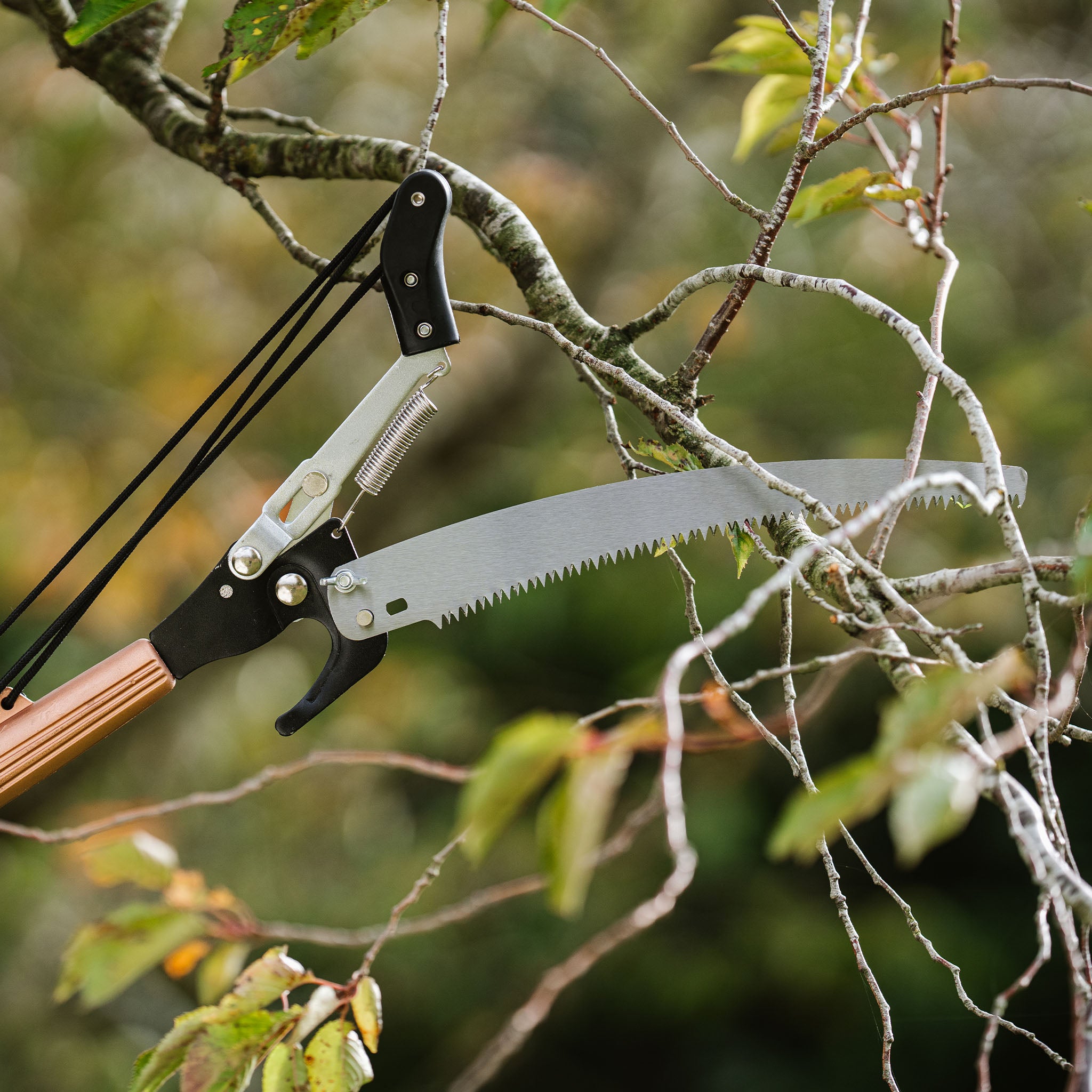 kent-stowe-telescopic-tree-lopper-3m-baumschnittschere image 4