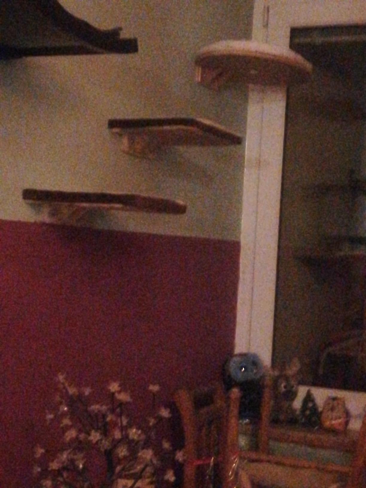 Nett, aber nur fĂŒr leichte Katzen