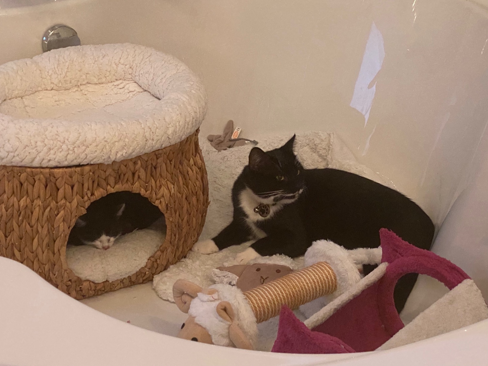 Gemütliches Versteck