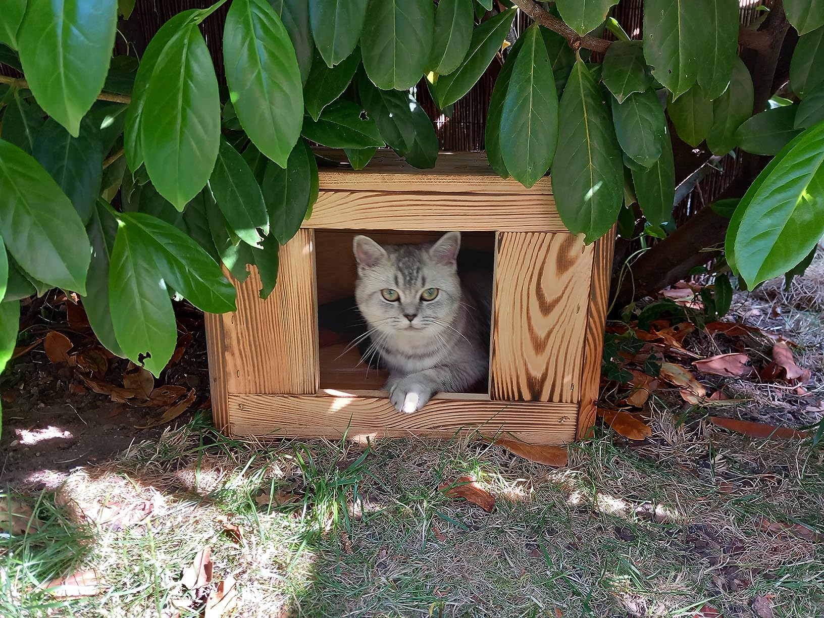 Unsere Katze liebt sie