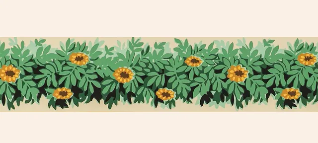 hembus-borte-4096-butterblume-historische-papierborte-10-0-cm image 1