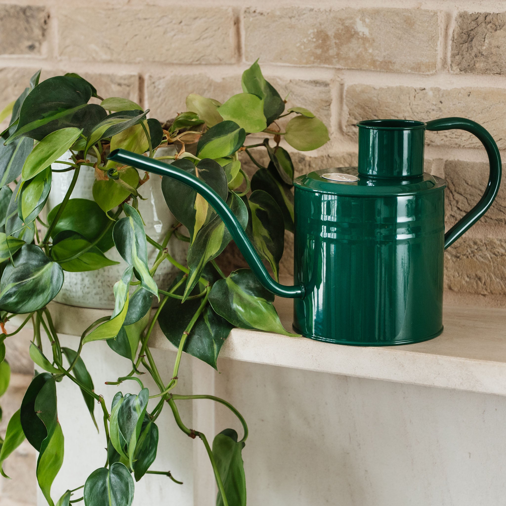 kent-stowe-indoor-gie-kanne-metall-forest-green-2l image 3