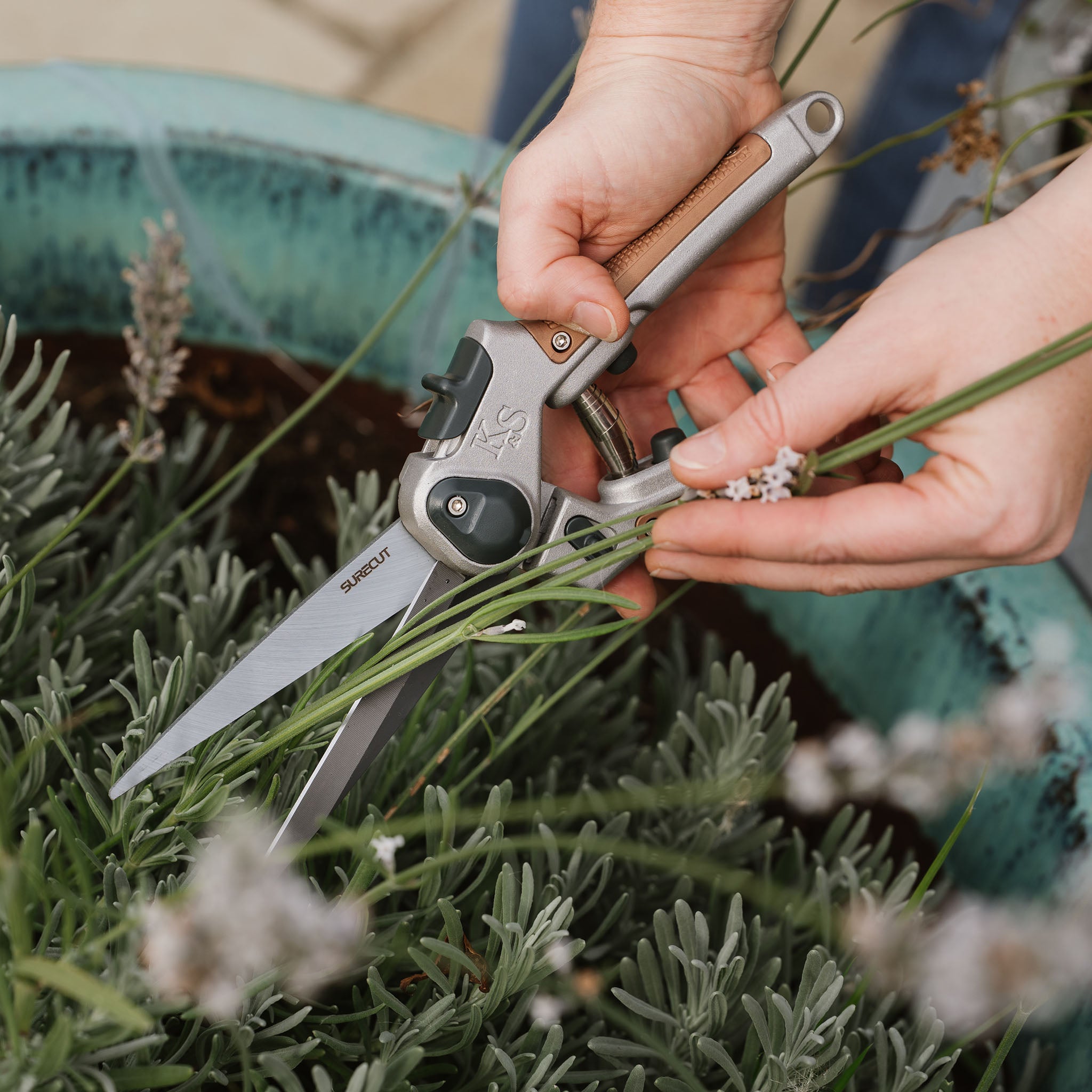 kent-stowe-surecut-staudenschere-perennial-snips image 3