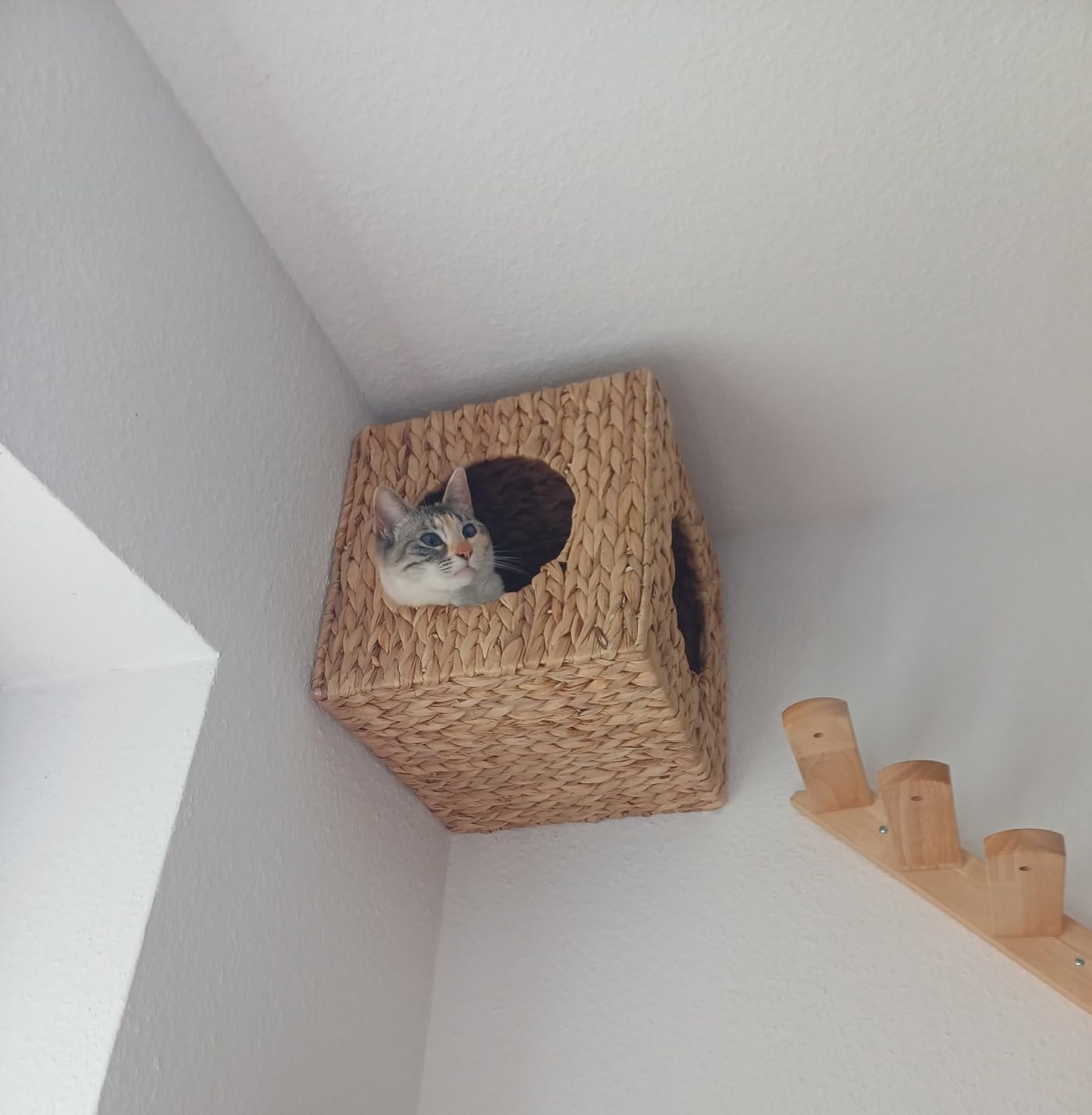Endlich oben schlafen