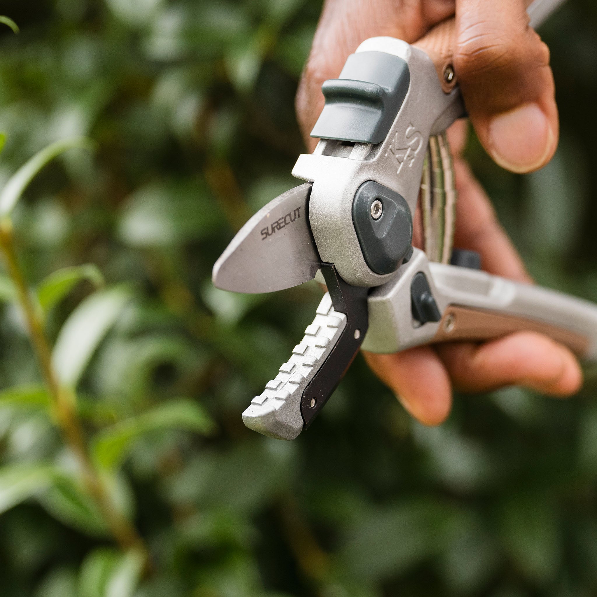 kent-stowe-surecut-hard-wood-lite-secateurs-gartenschere image 5