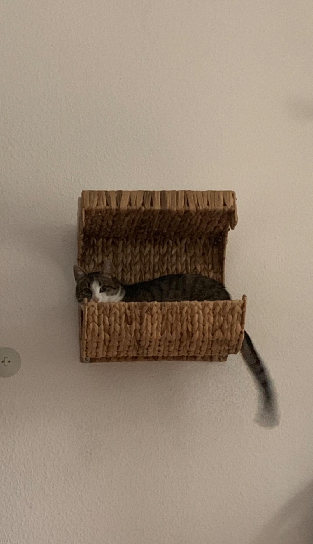 Schöne Idee