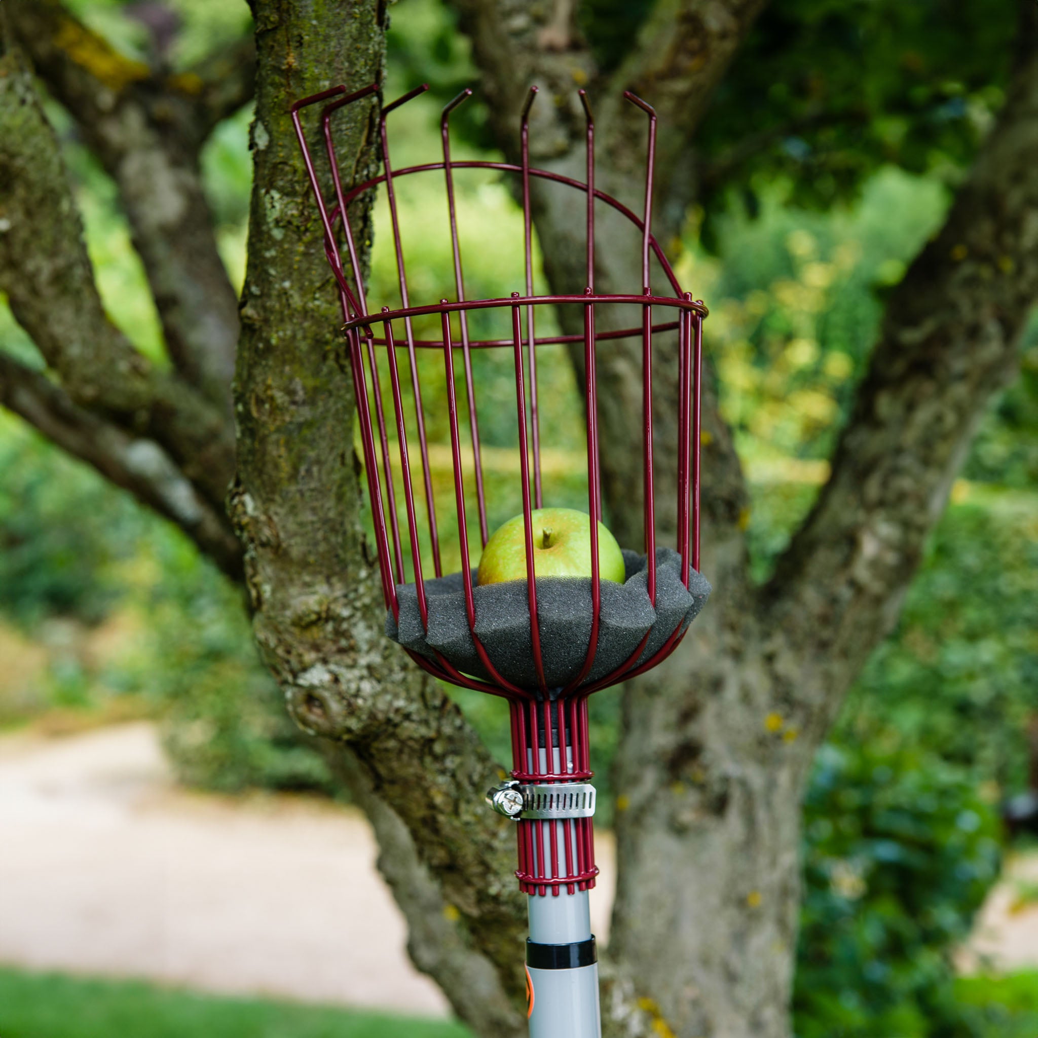 kent-stowe-teleskop-obstpfl-cker-mit-schaumstoff-polster image 5