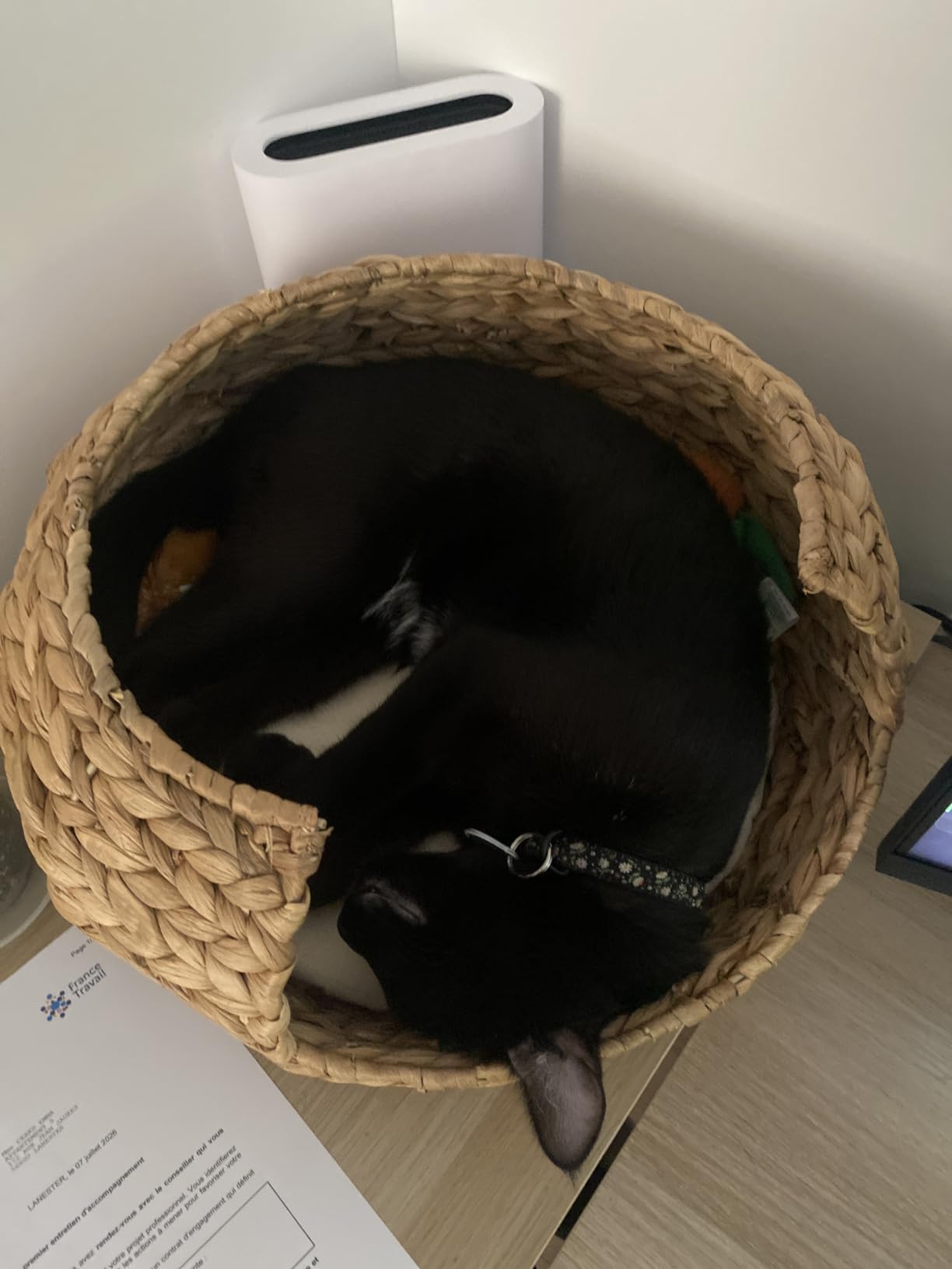 Kaufen!