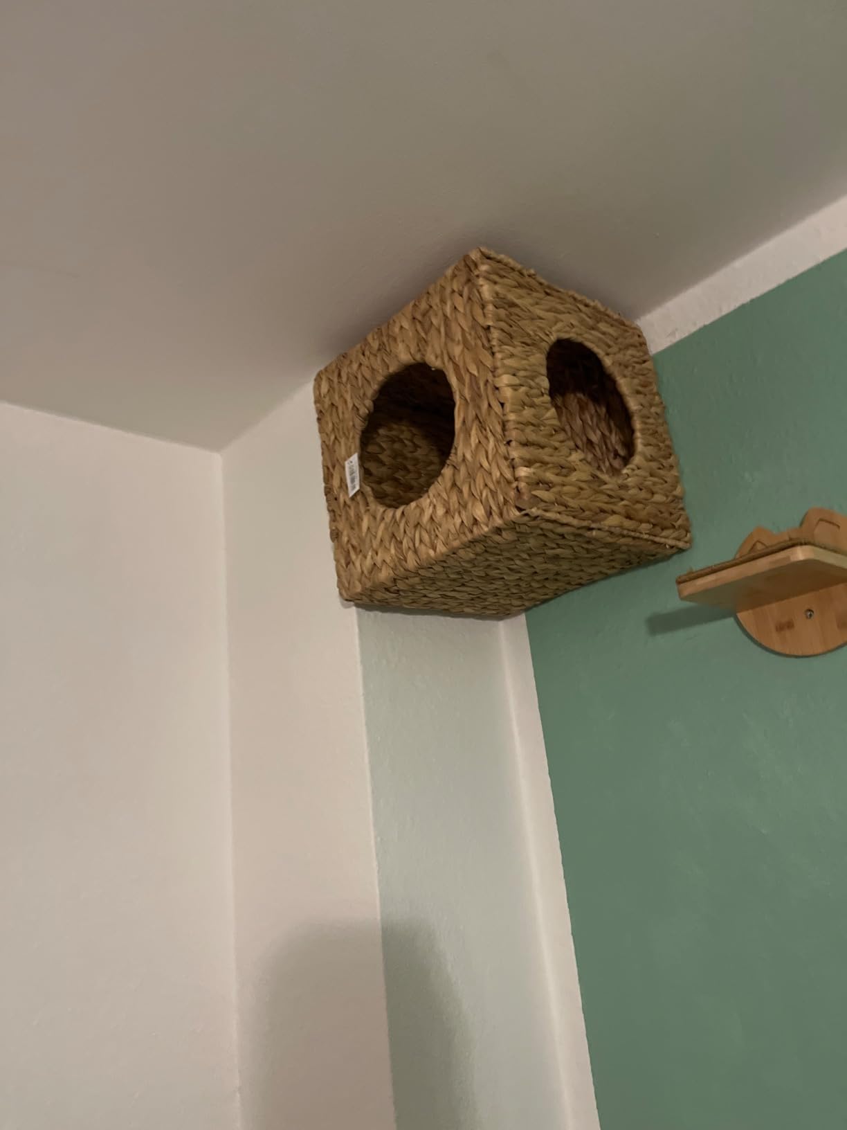 Schön, aber Eingewöhnung dauerte