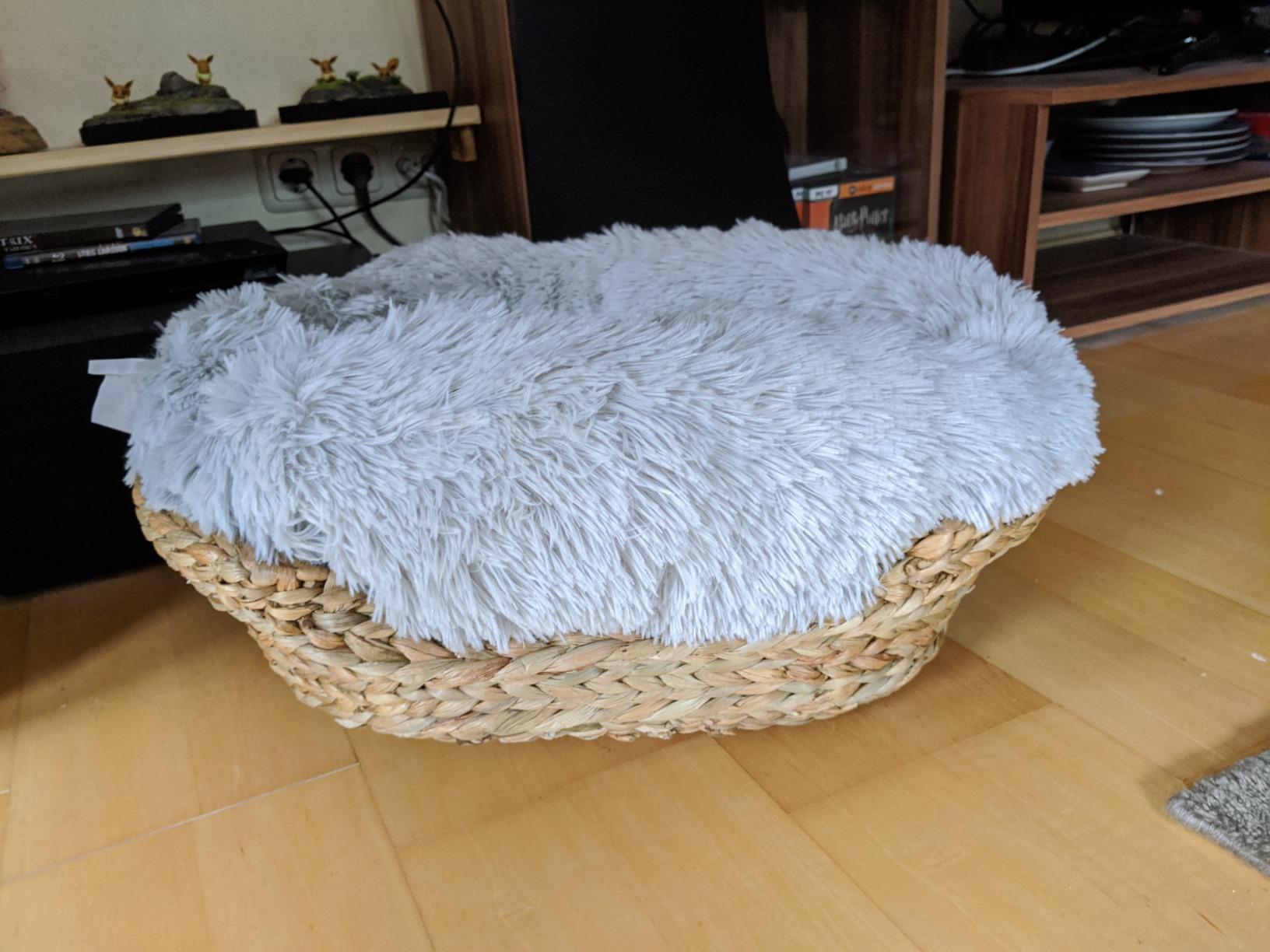 Gute Größe für Katzen