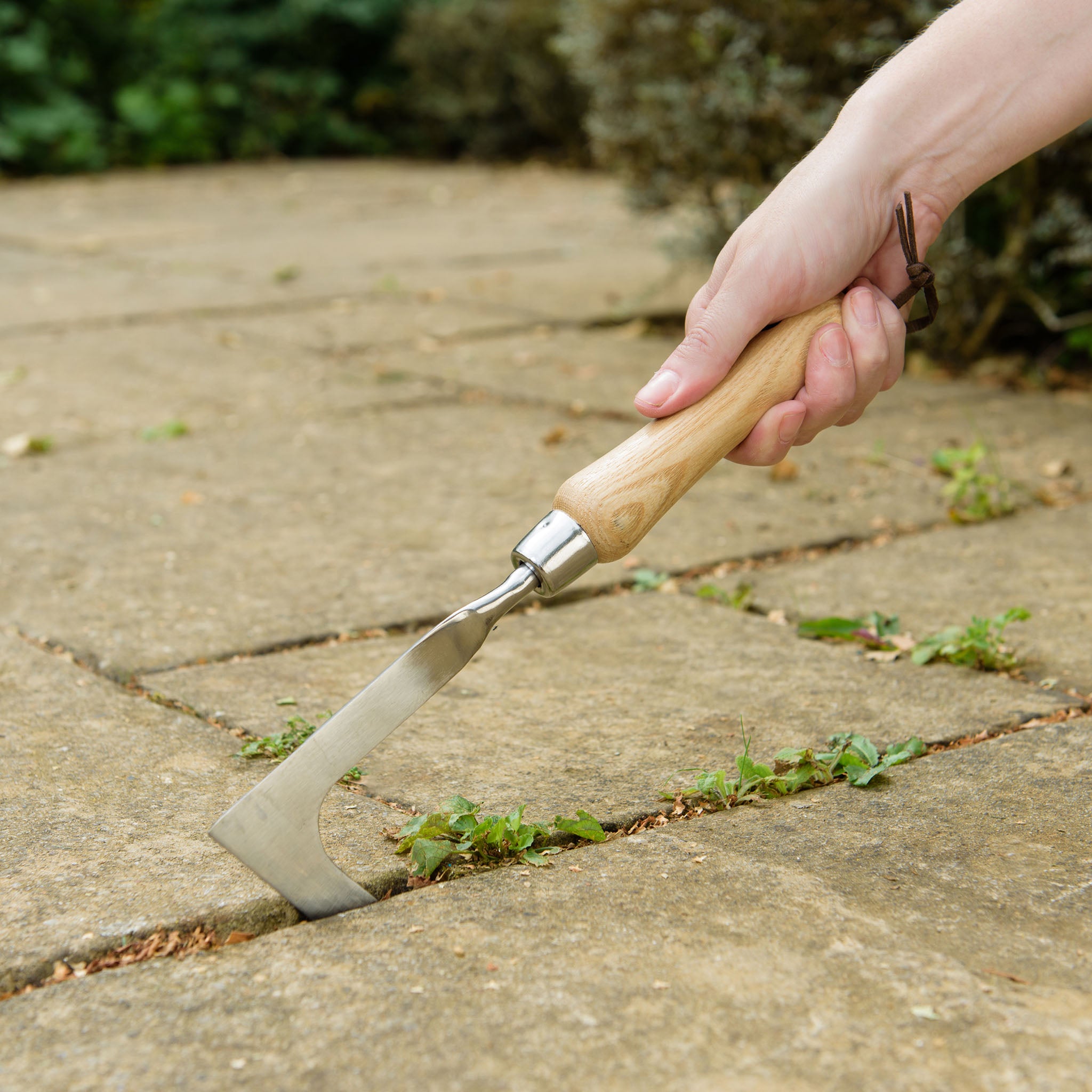 kent-stowe-edelstahl-hand-unkrautmesser-mit-eschenholzgriff image 3