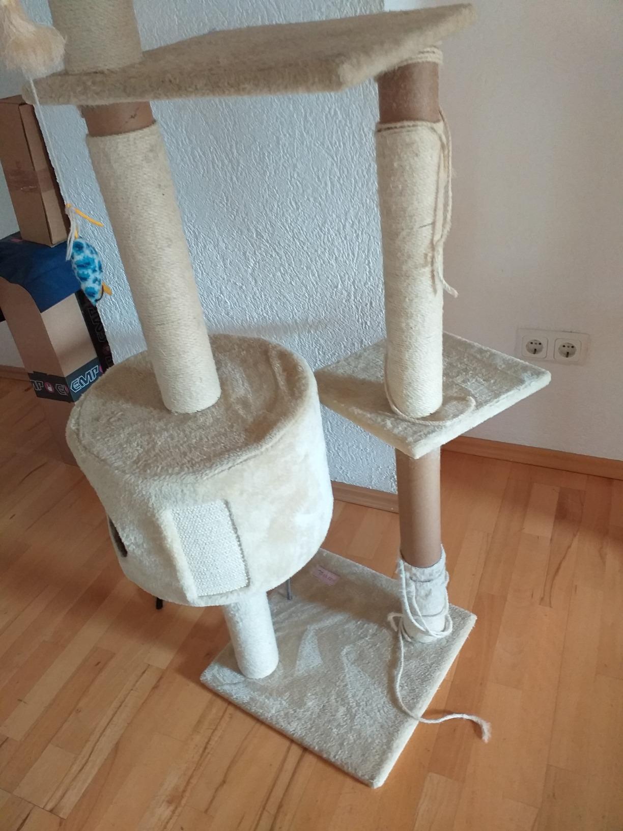 Tolles Preis-Leistungs-Verhältnis