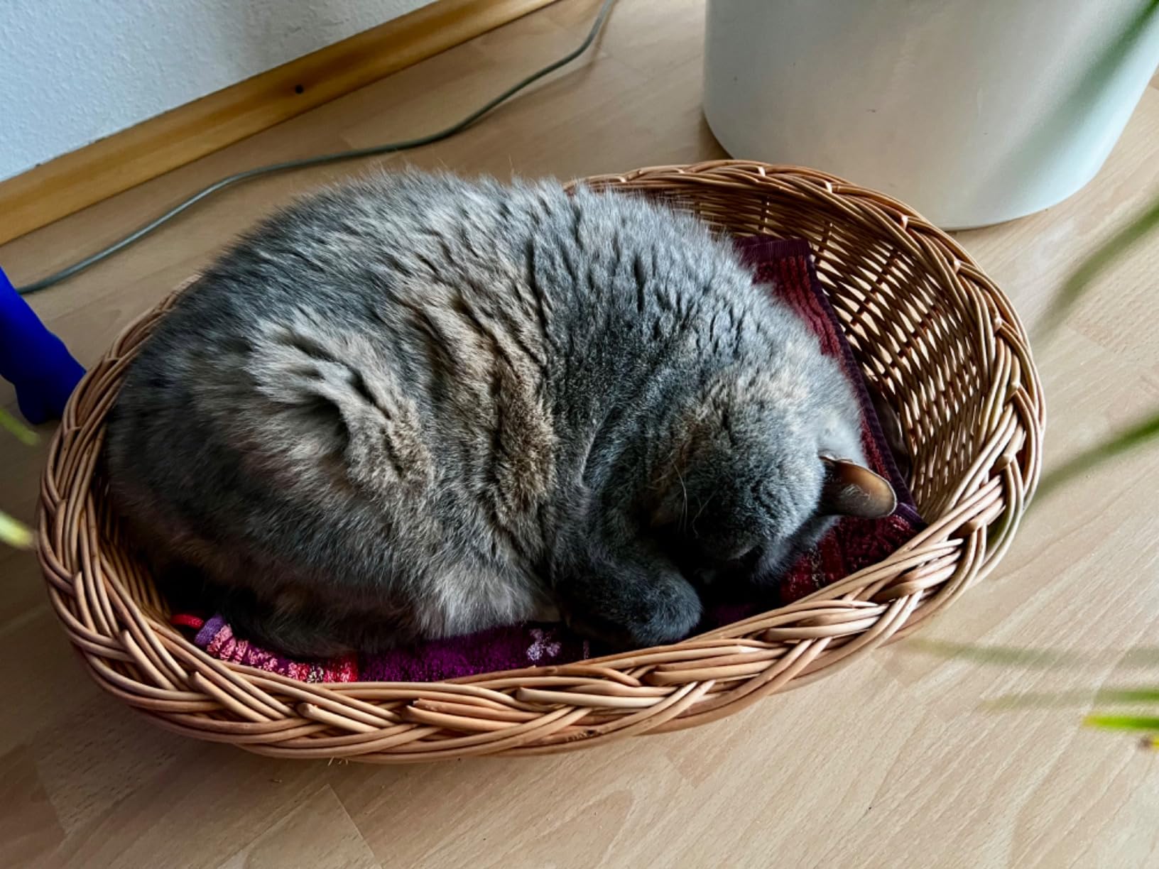 Wunderschöner Korb