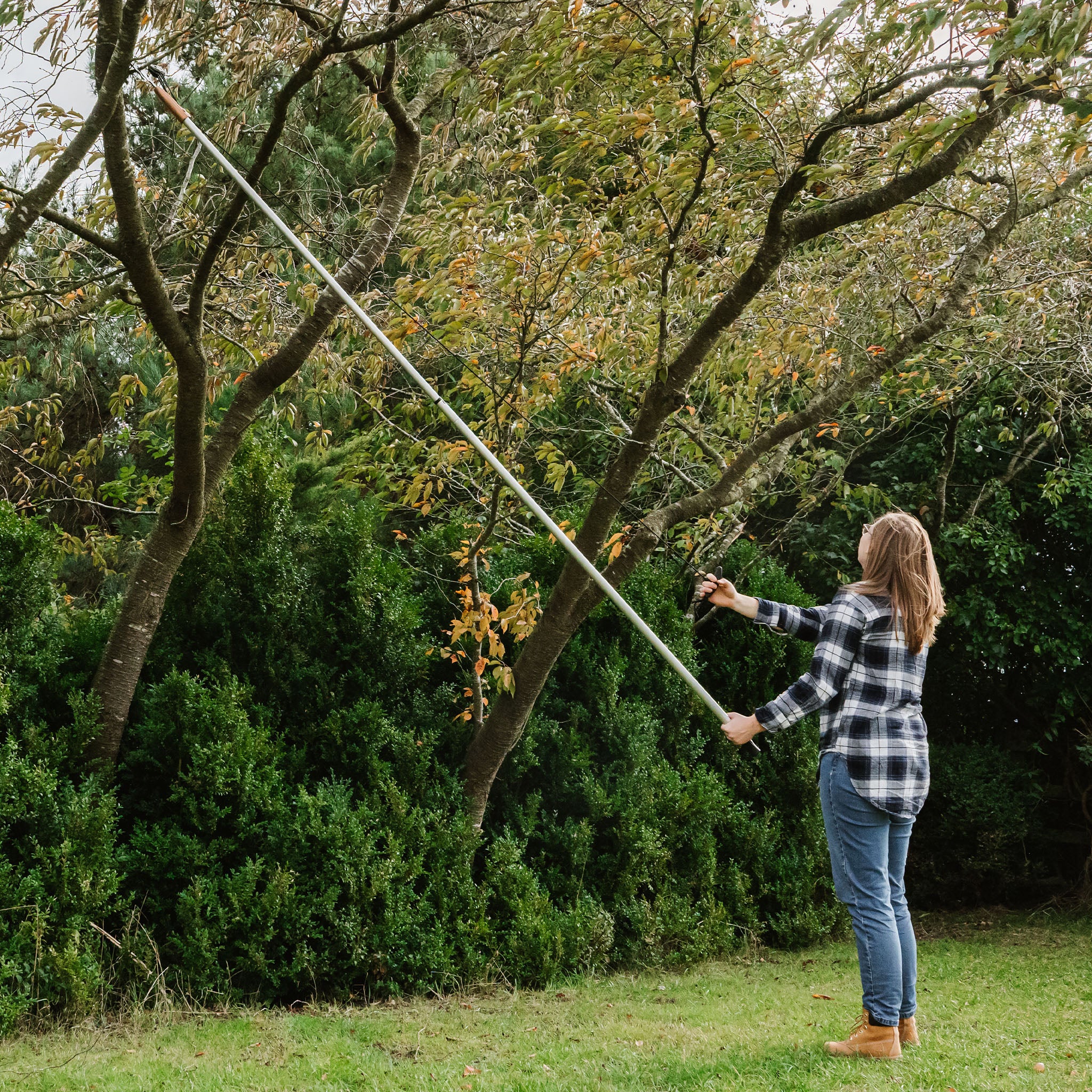 kent-stowe-telescopic-tree-lopper-3m-baumschnittschere image 3