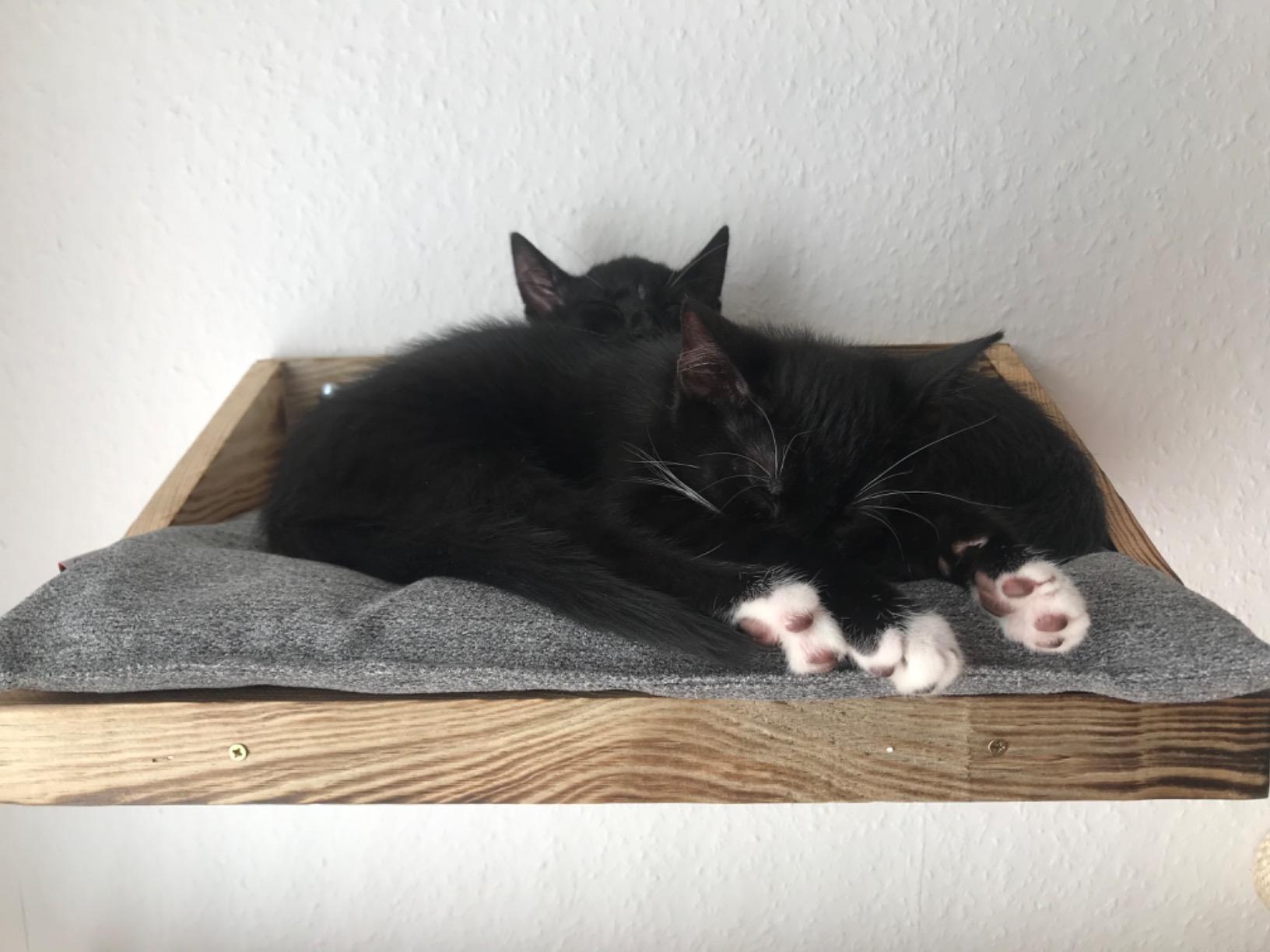 Lieblingsplatz an der Wand