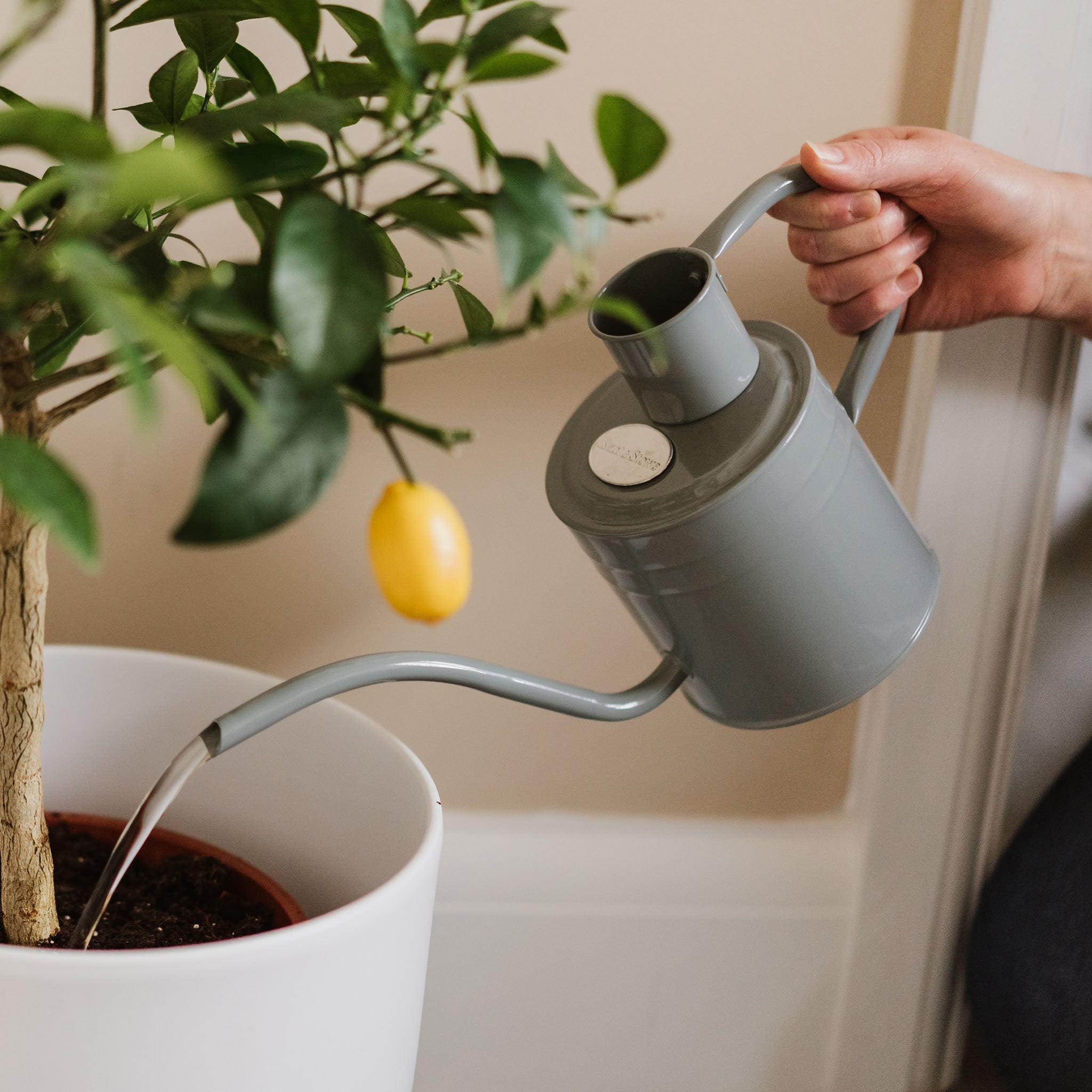 kent-stowe-indoor-metal-watering-can-warm-grey-1l-zimmergie-kanne image 2