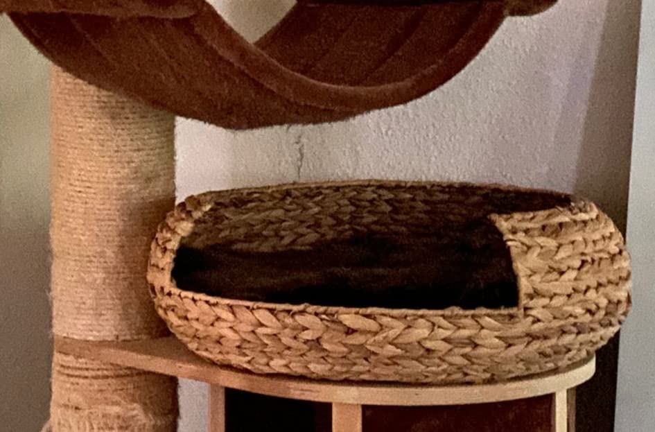 Traumhaft schön im Wohnzimmer