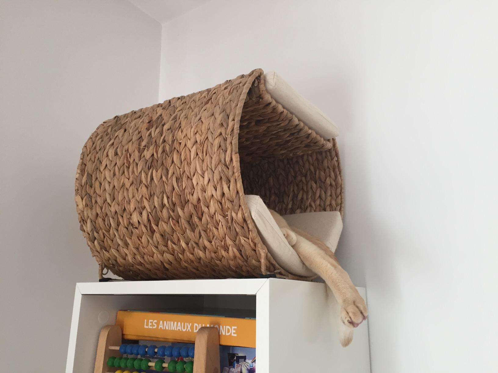 Ideal für kleine Wohnung