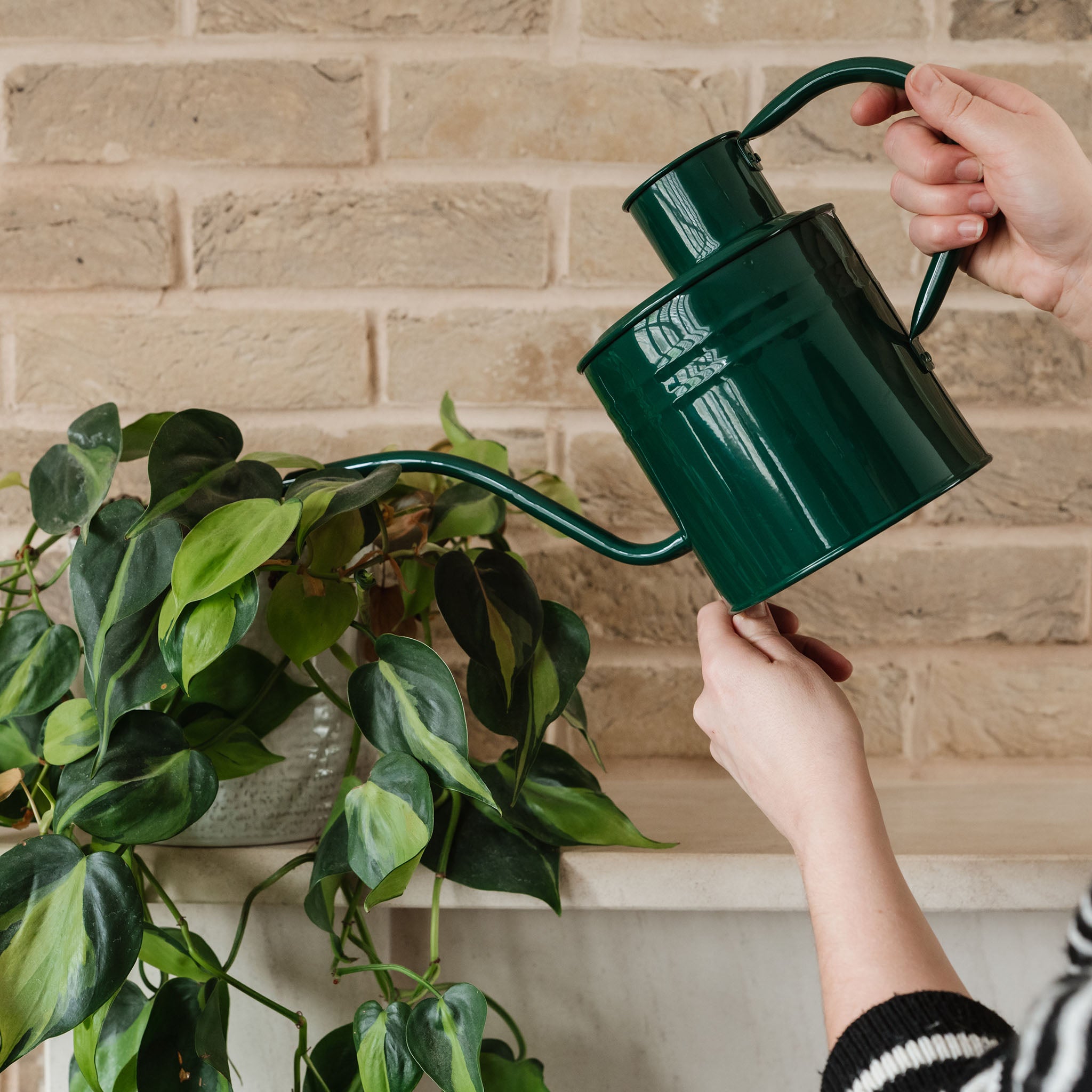 kent-stowe-indoor-gie-kanne-metall-forest-green-2l image 2