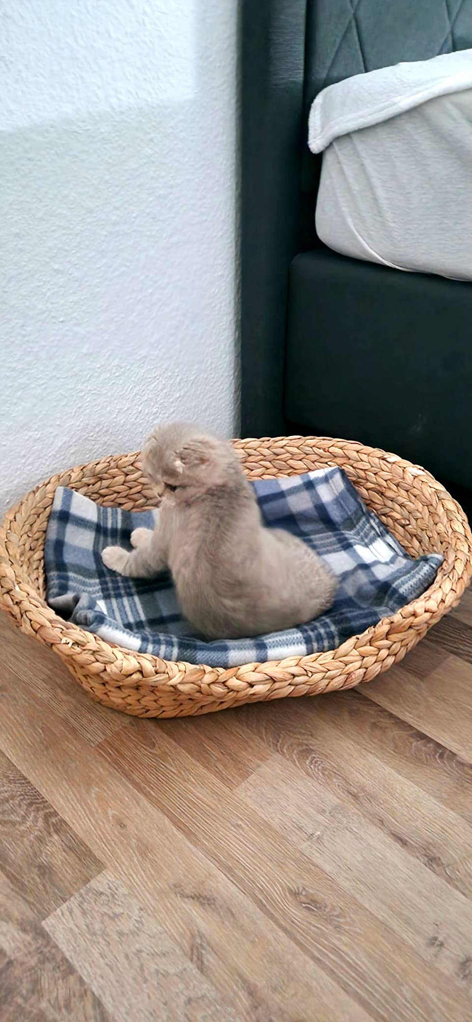 Unser Kater liebt es