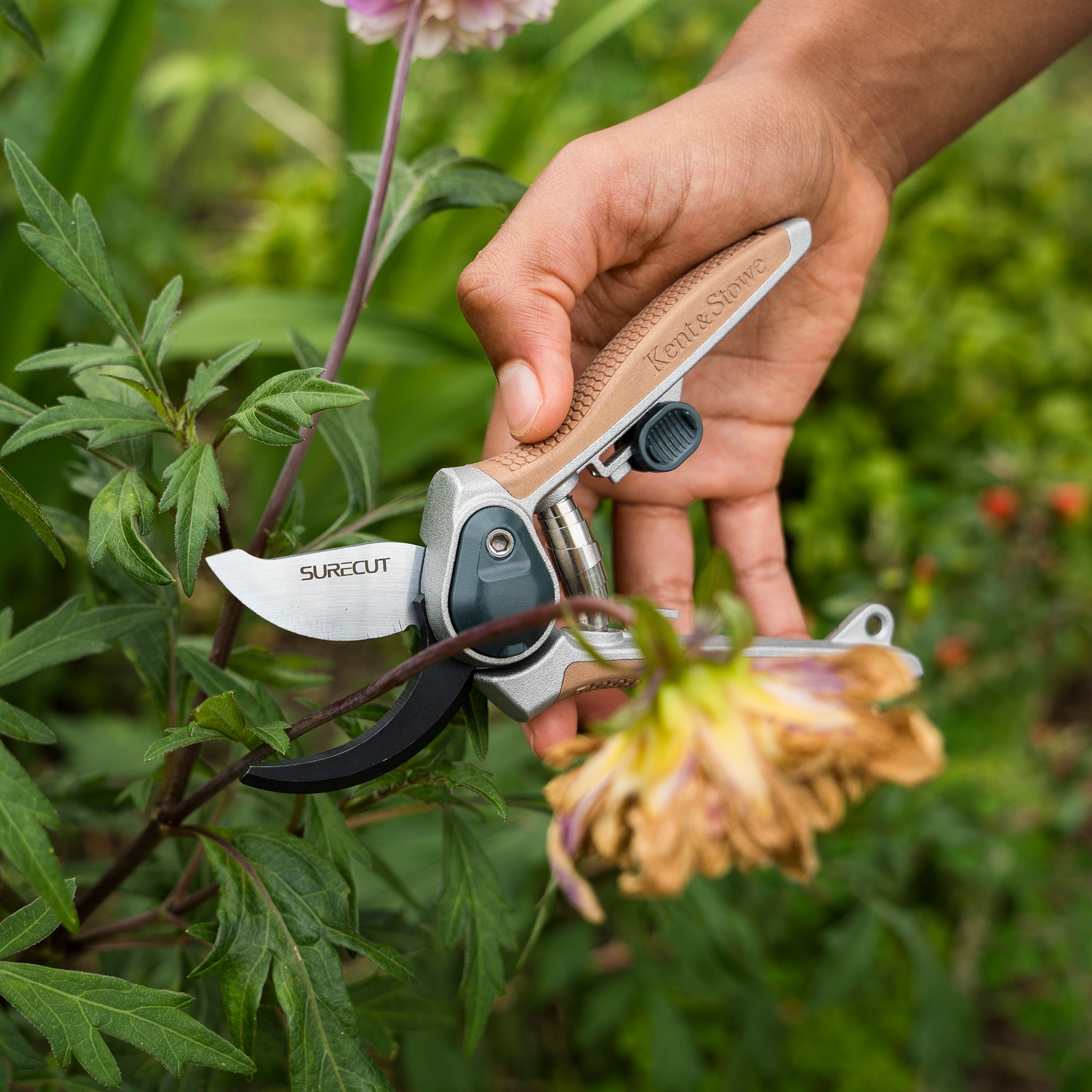 kent-stowe-garden-life-mini-rebschere-all-purpose image 3