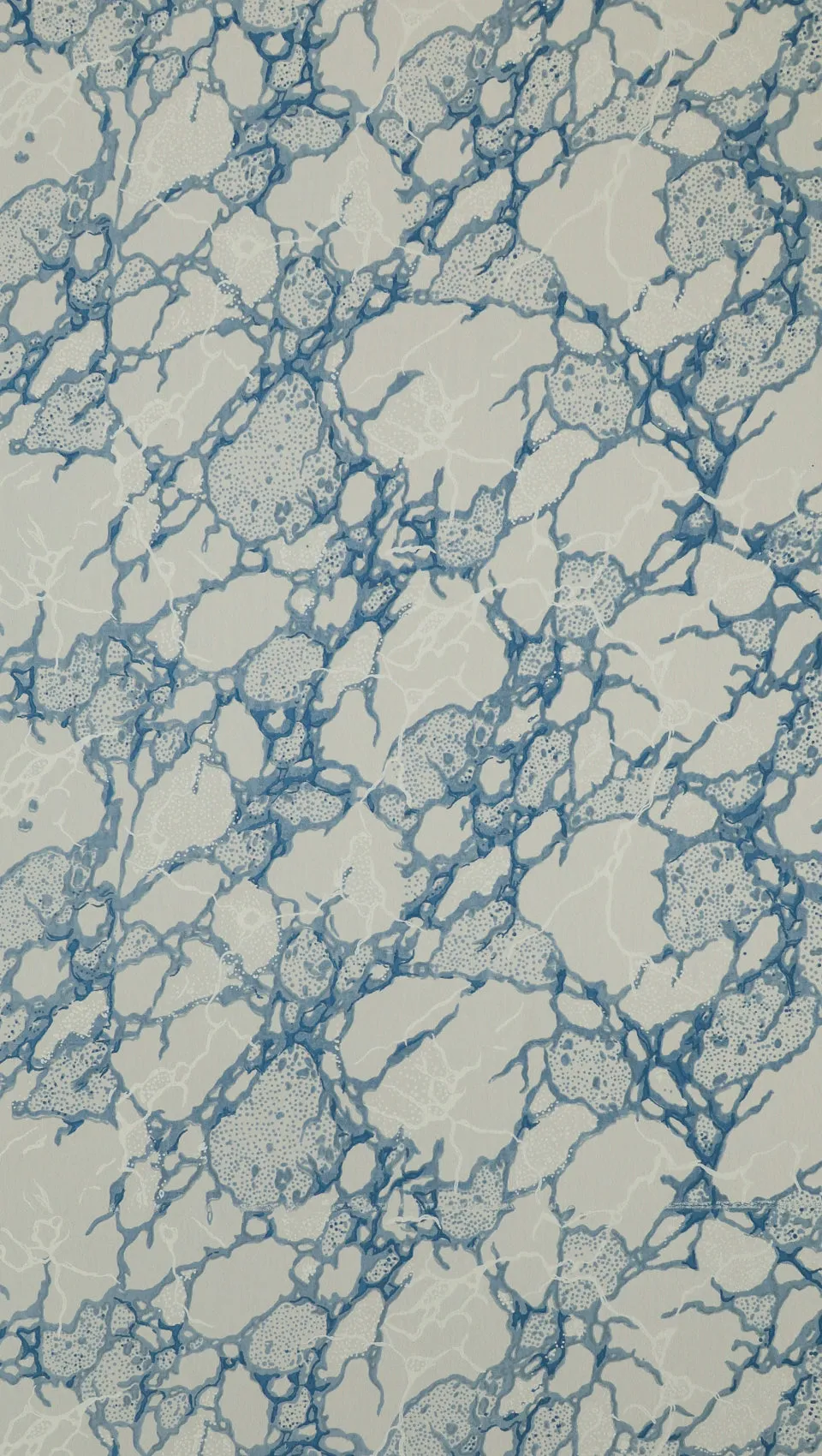 hembus-tapete-272-b-blauer-marmor-papiertapete image 1