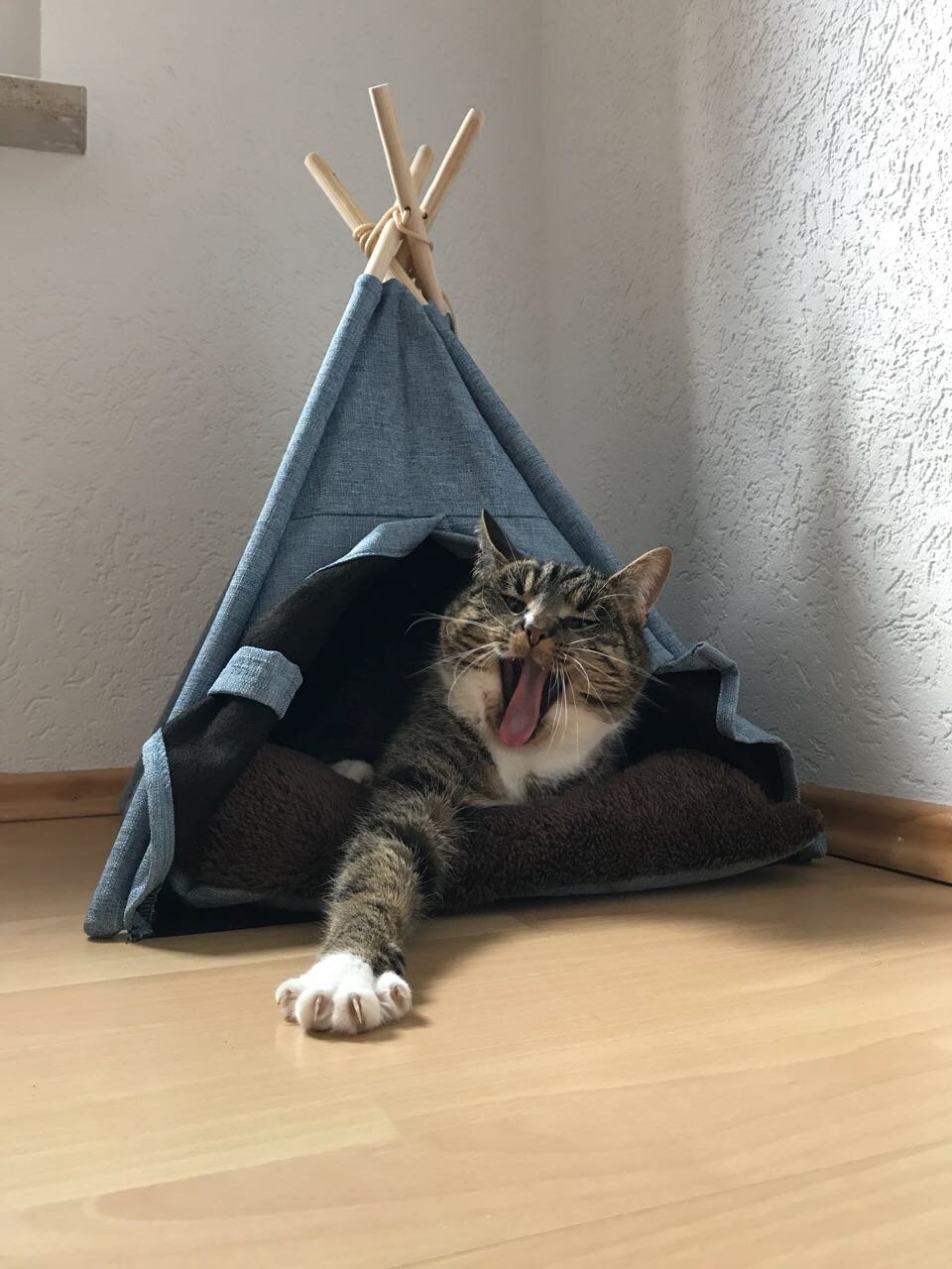 lycce-tipi-zelt-jeans-eckiger-eingang-f-r-kleine-hunde-und-katzen image 2