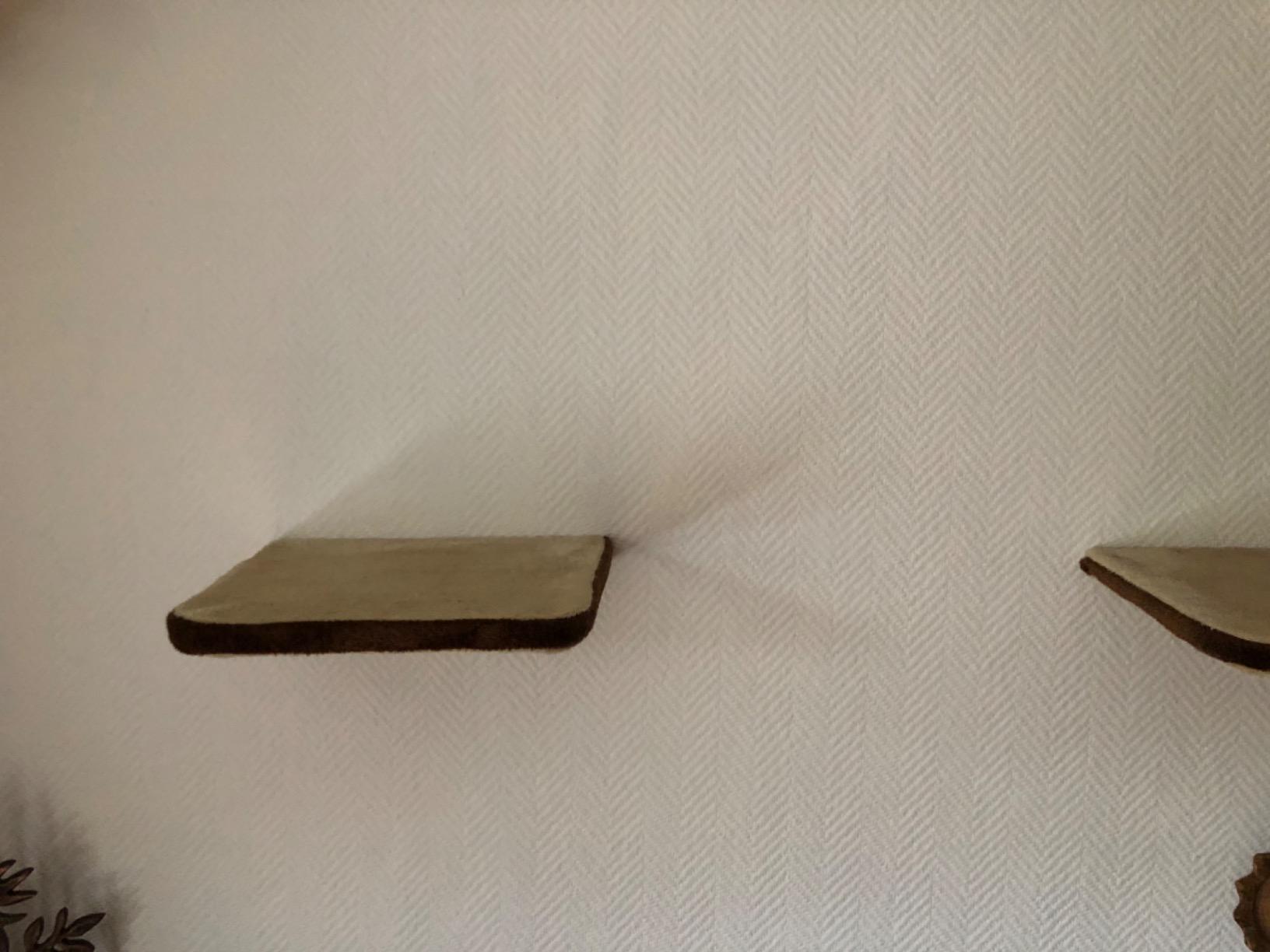 Stabiler als gedacht