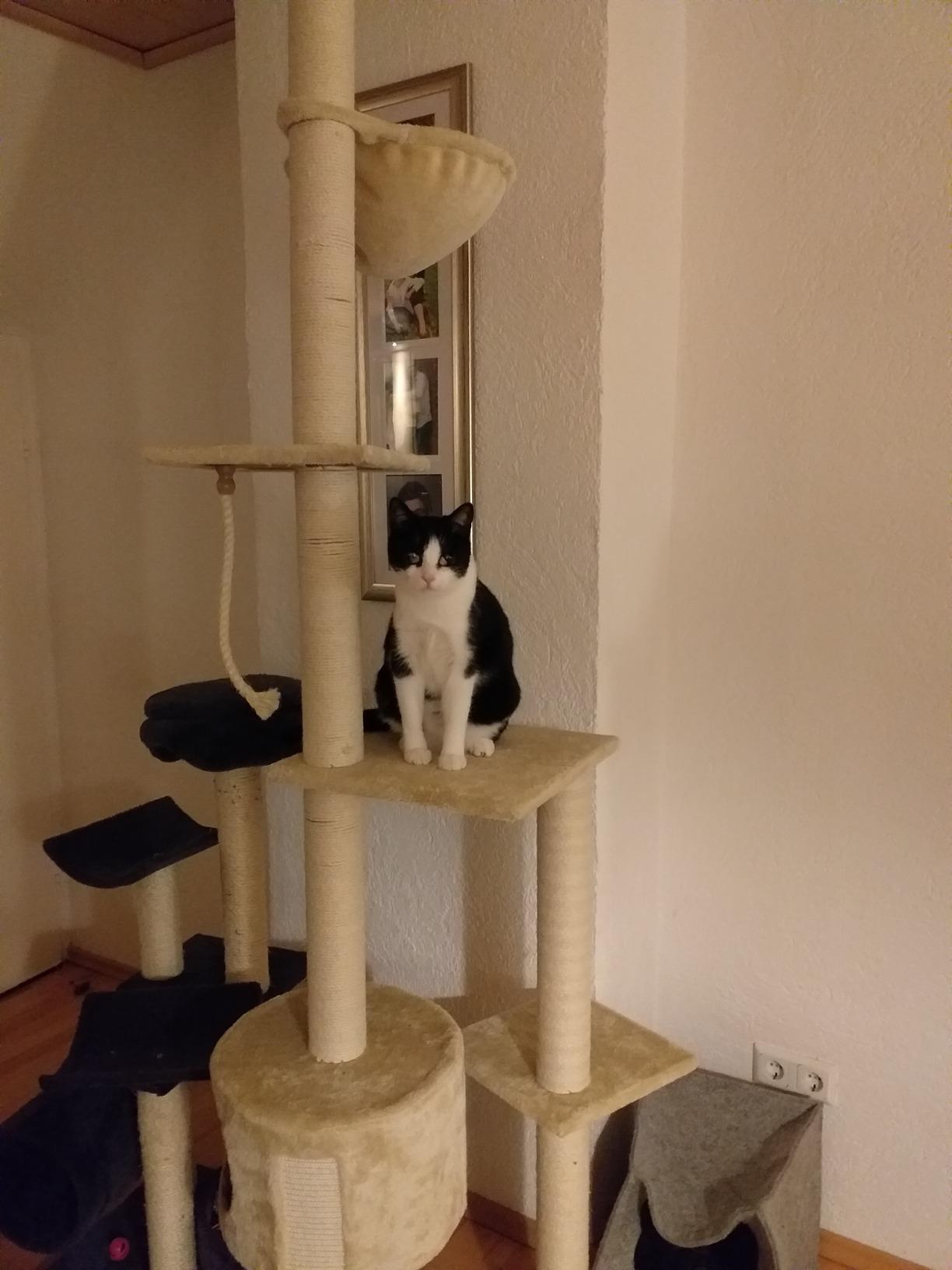 Super für kleine Wohnungen