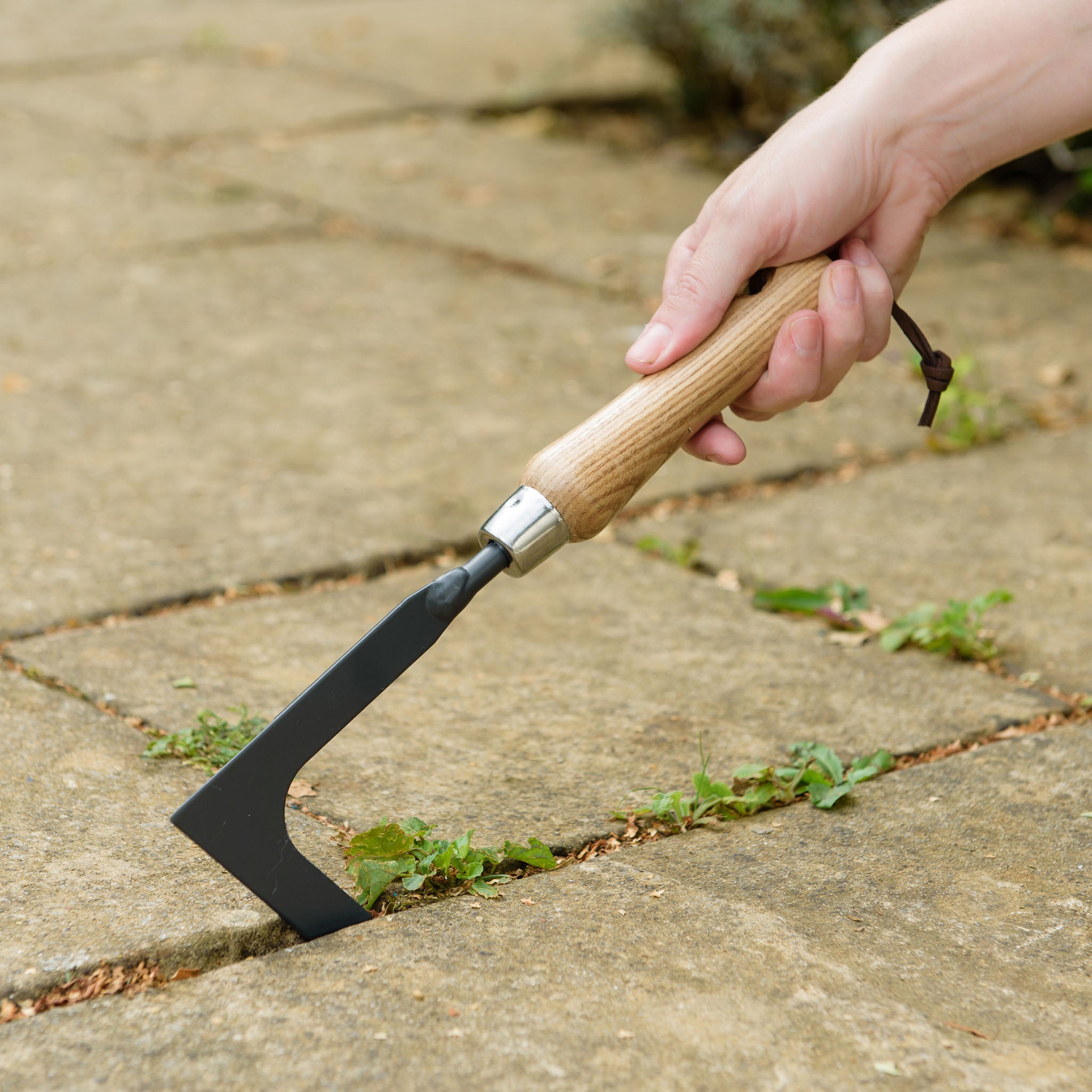 kent-stowe-carbonstahl-hand-unkrautmesser-fugenkratzer image 3