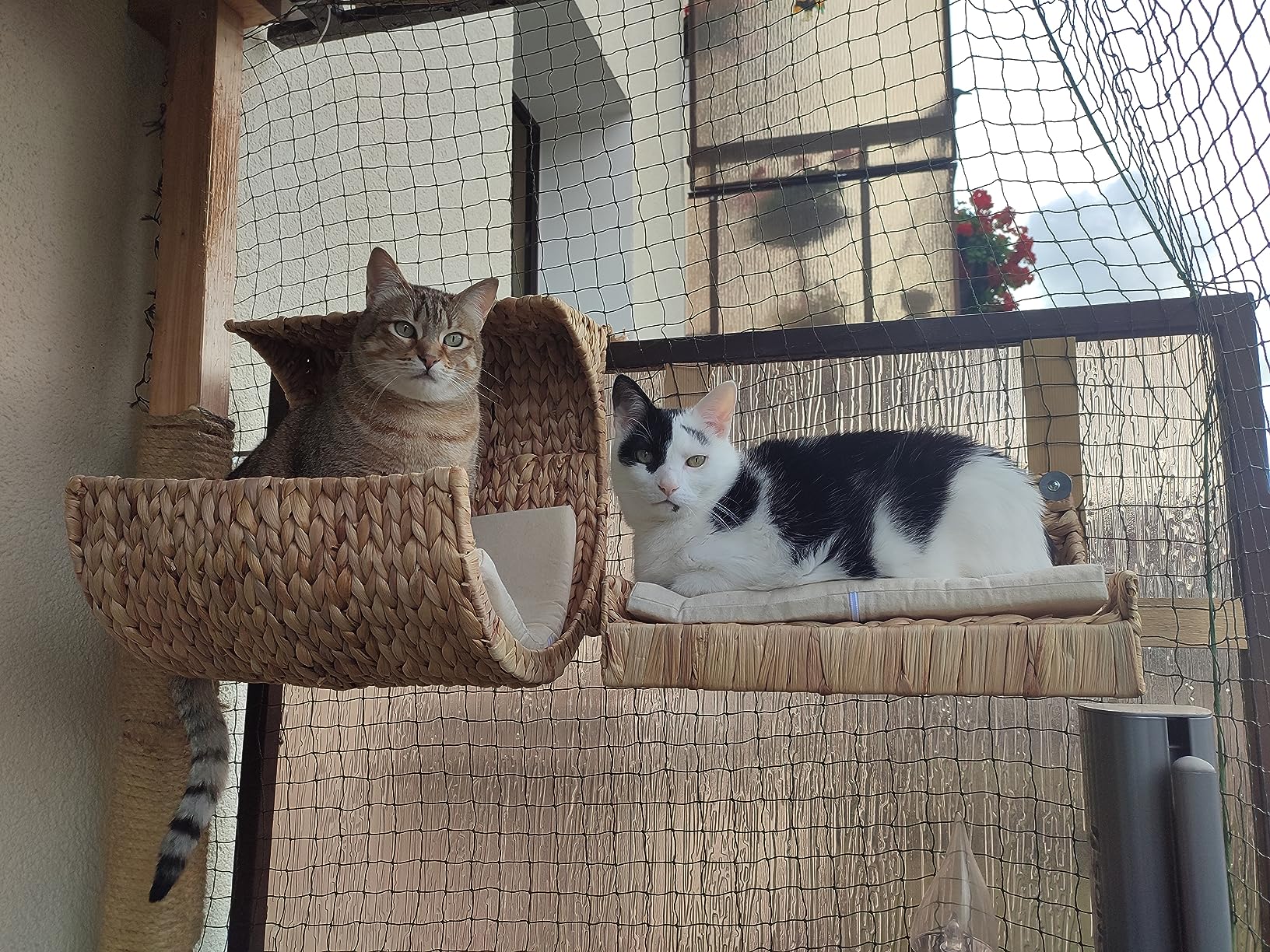 Auch für scheue Katzen