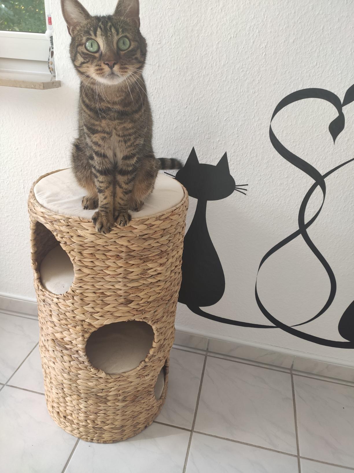Hübsch, braucht Platz