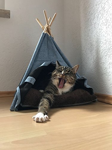 lycce-tipi-zelt-jeans-eckiger-eingang-f-r-kleine-hunde-und-katzen image 5