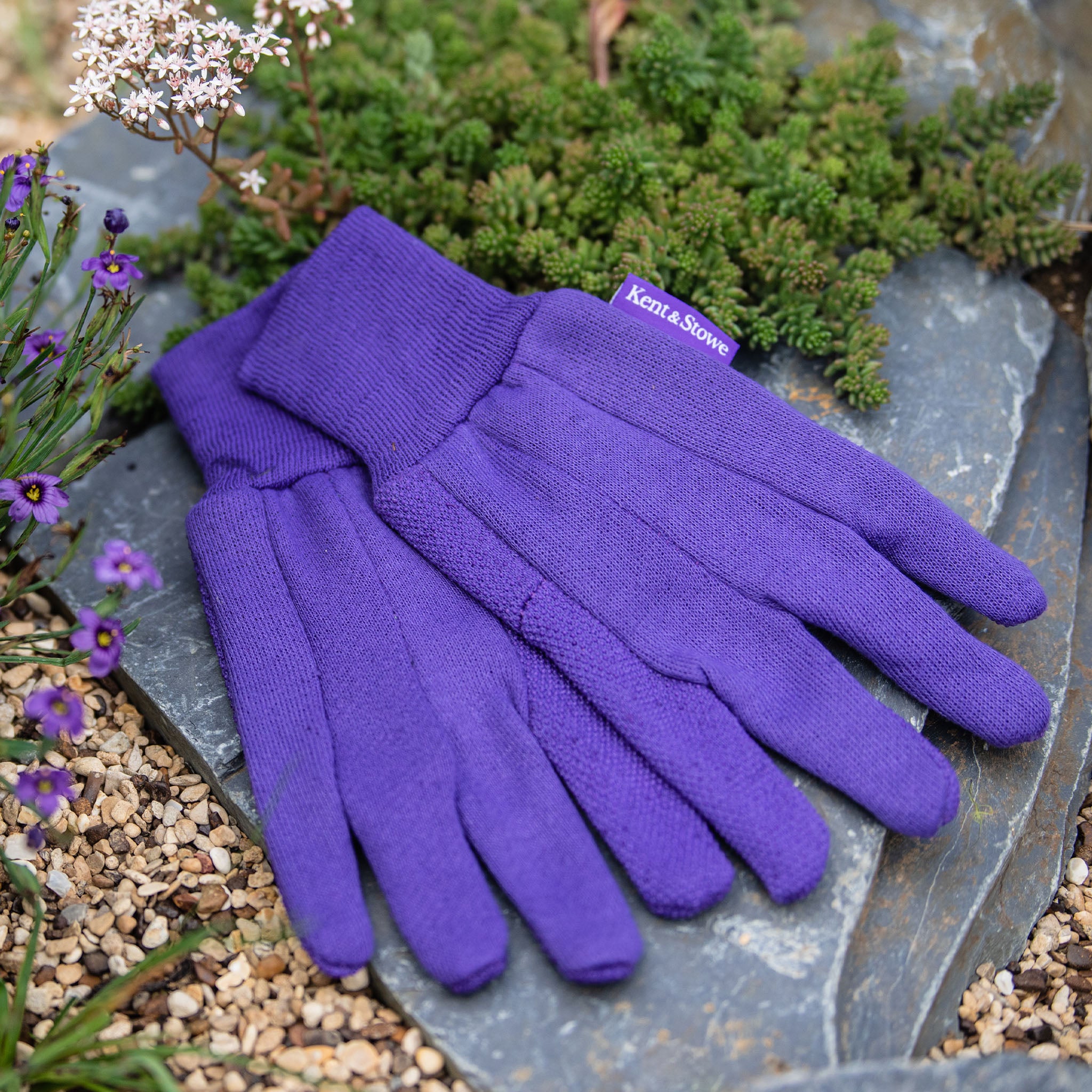 kent-stowe-purple-jersey-baumwoll-handschuhe-mit-grip-damen-medium image 2