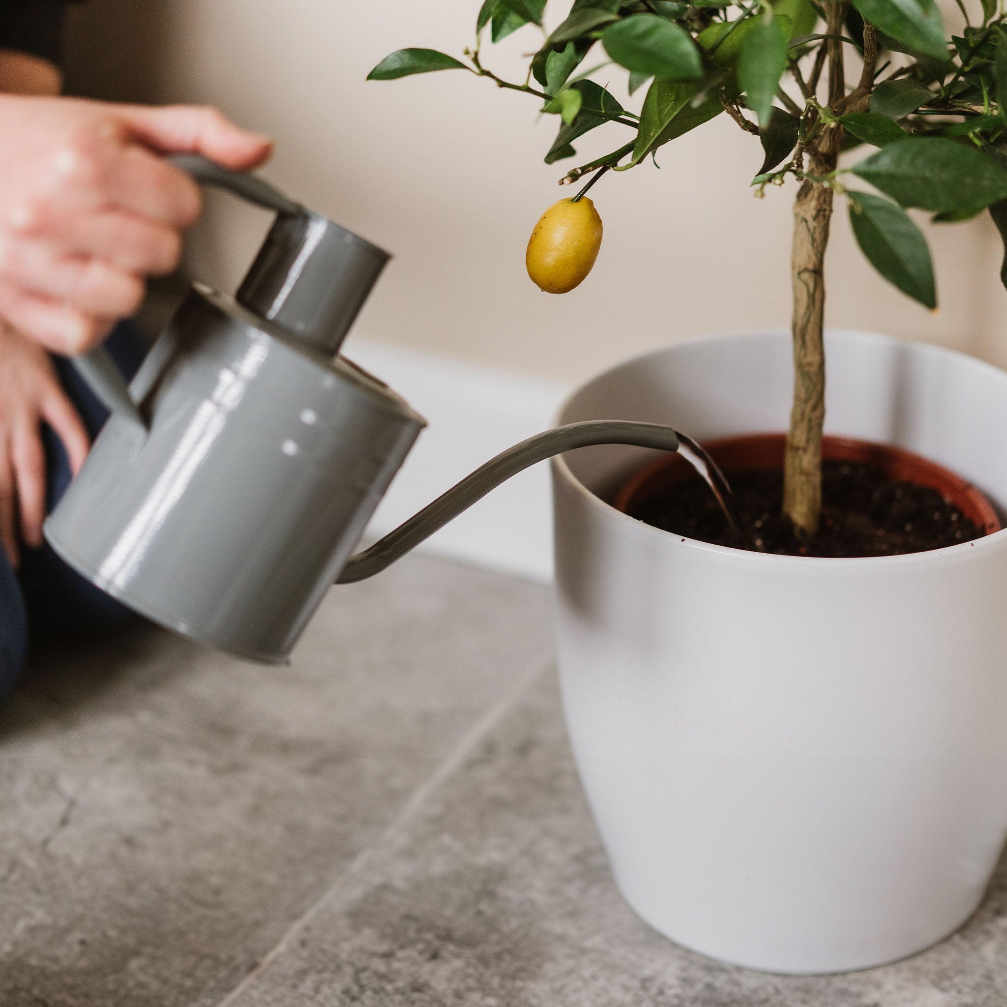 kent-stowe-indoor-metal-watering-can-warm-grey-1l-zimmergie-kanne image 5