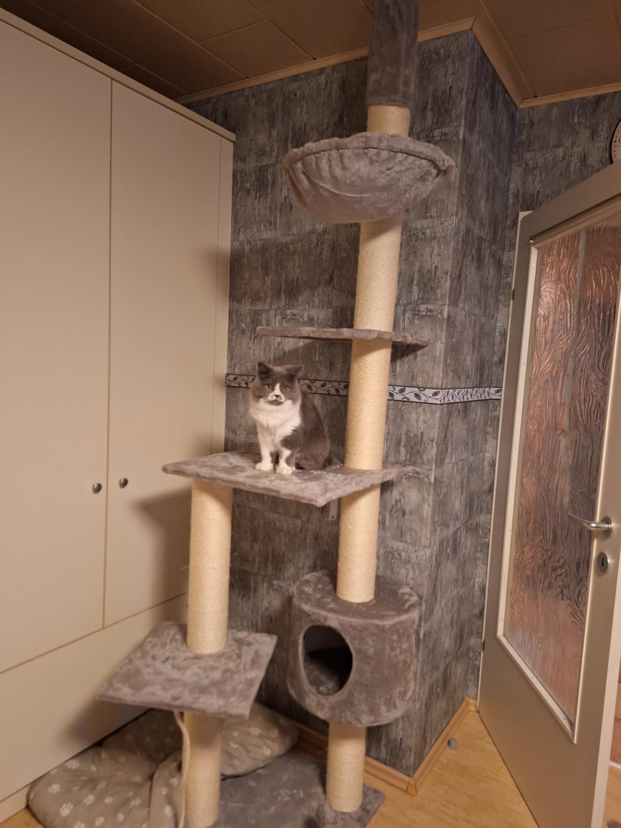 Viel Platz zum Spielen