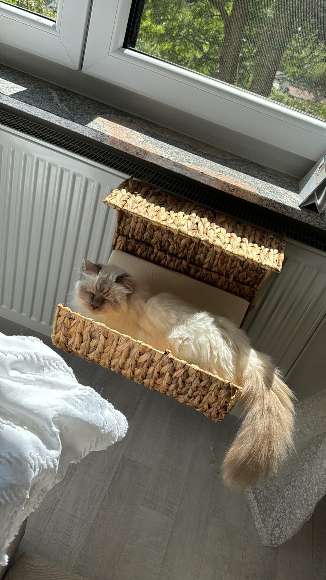 Besser als Fensterbank