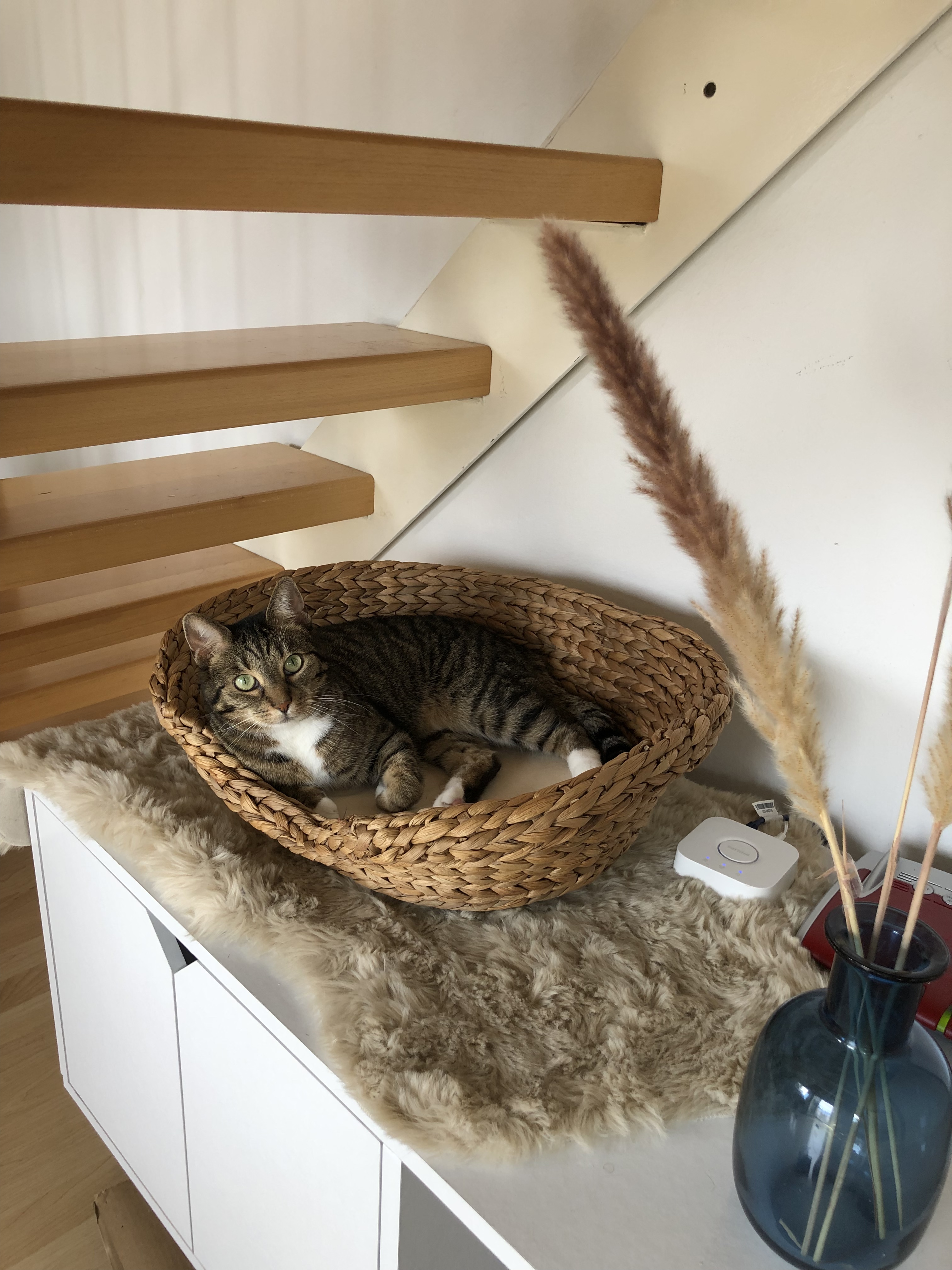 Schönes Körbchen fĂŒrs Schlafzimmer