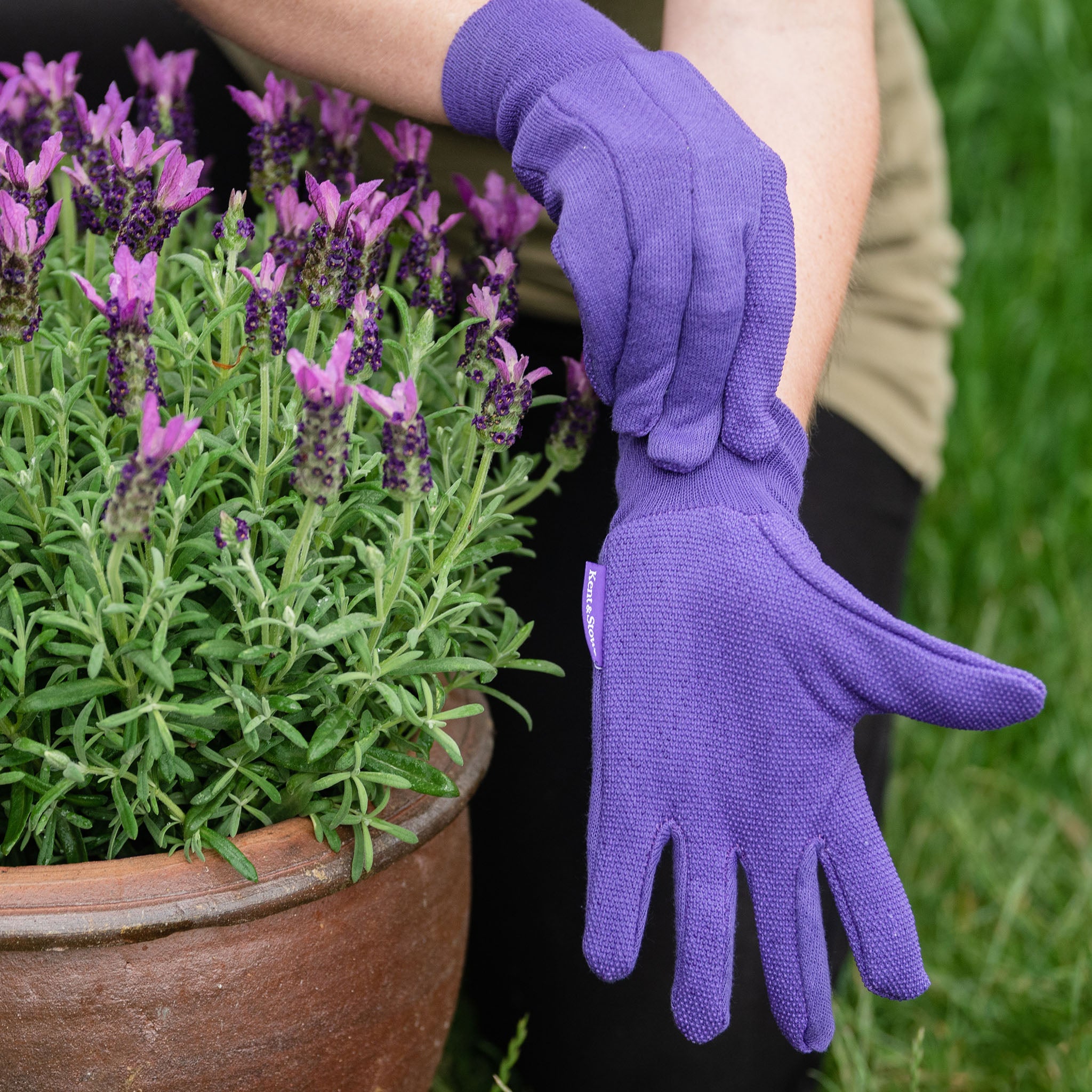 kent-stowe-purple-jersey-baumwoll-handschuhe-mit-grip-damen-medium image 4