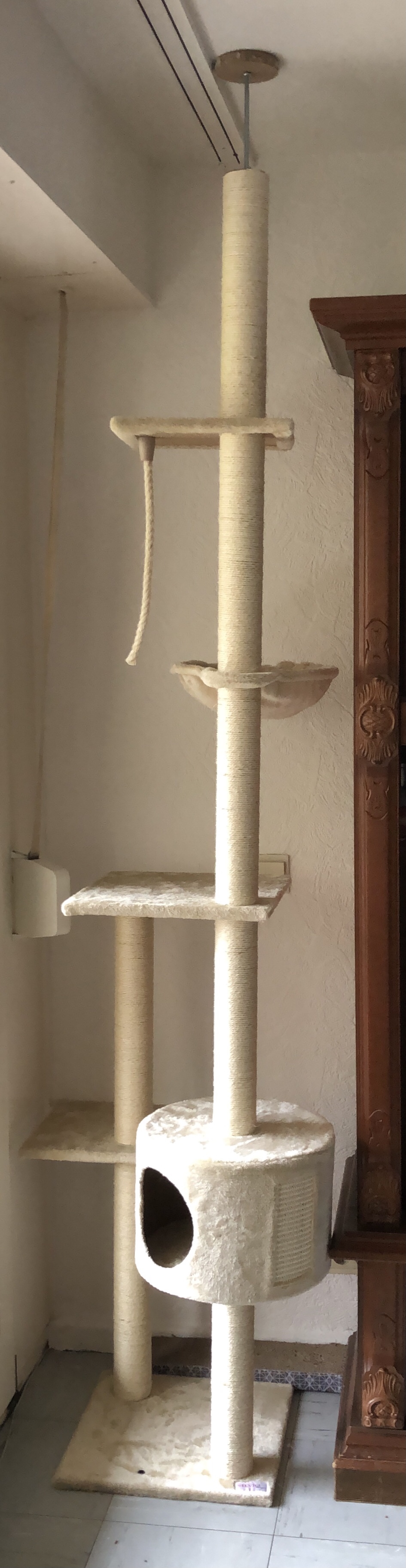 Katzen lieben ihn sofort