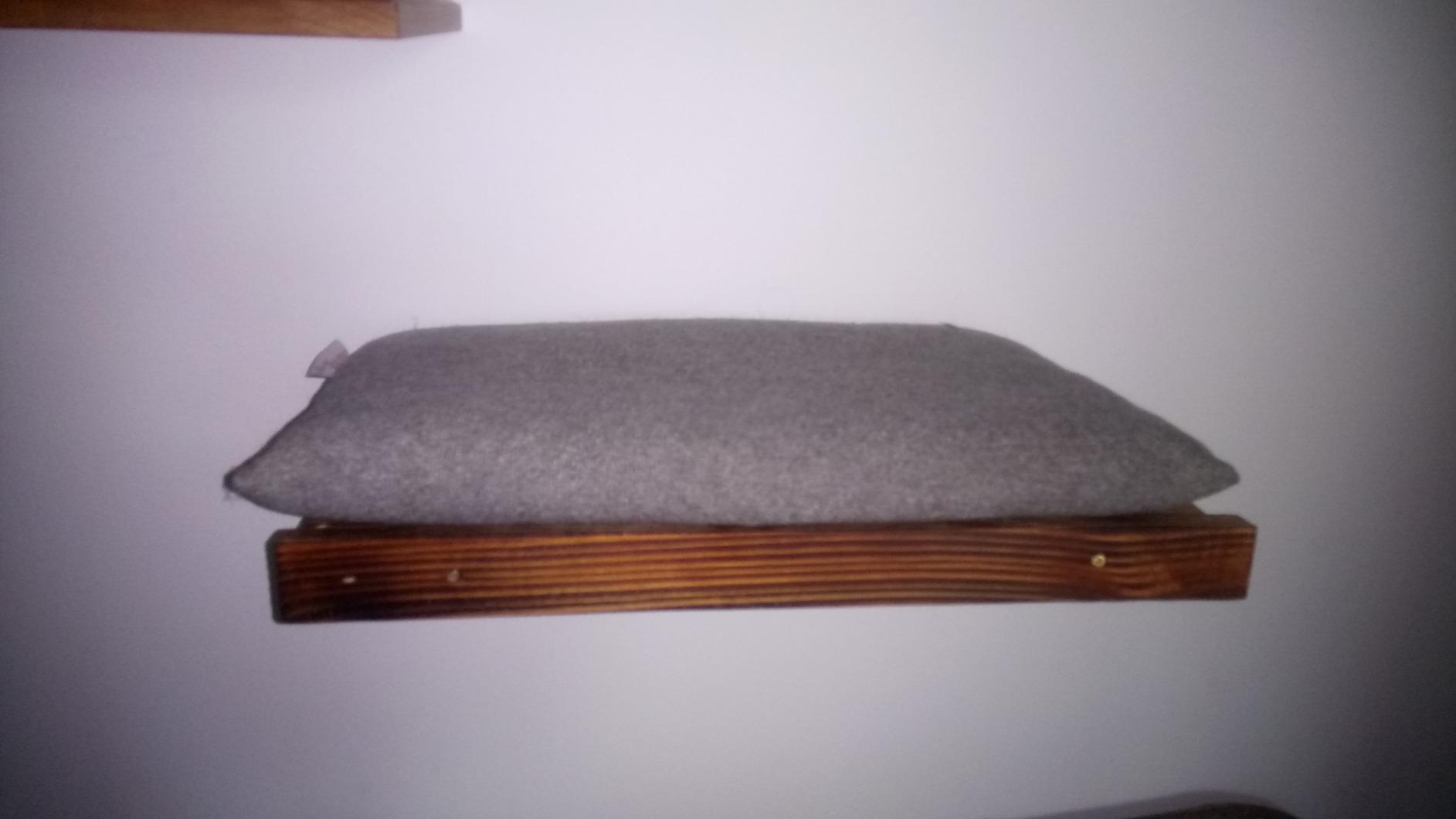 Absolute Empfehlung