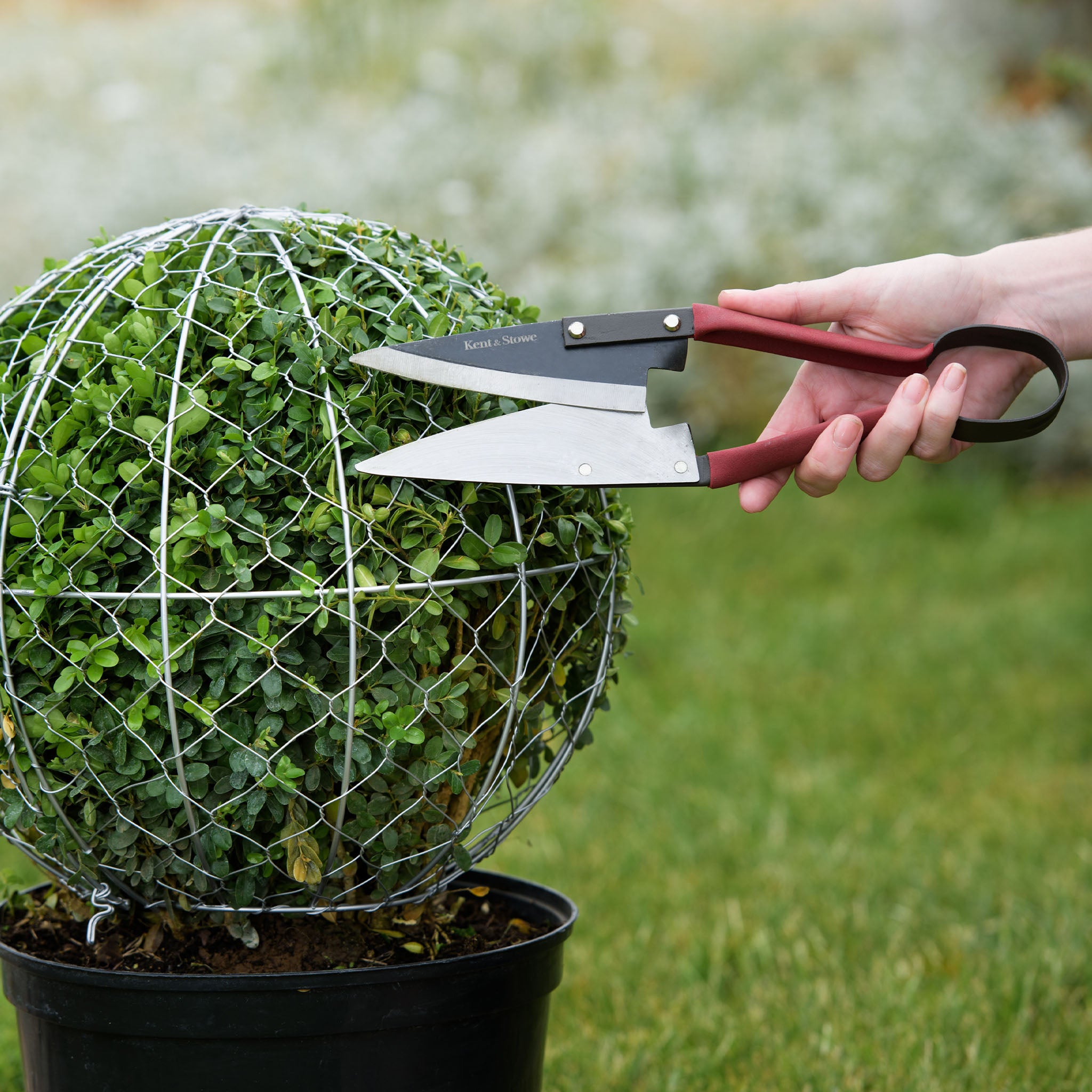 kent-stowe-topiary-shears-formschnitt-schere-large image 2