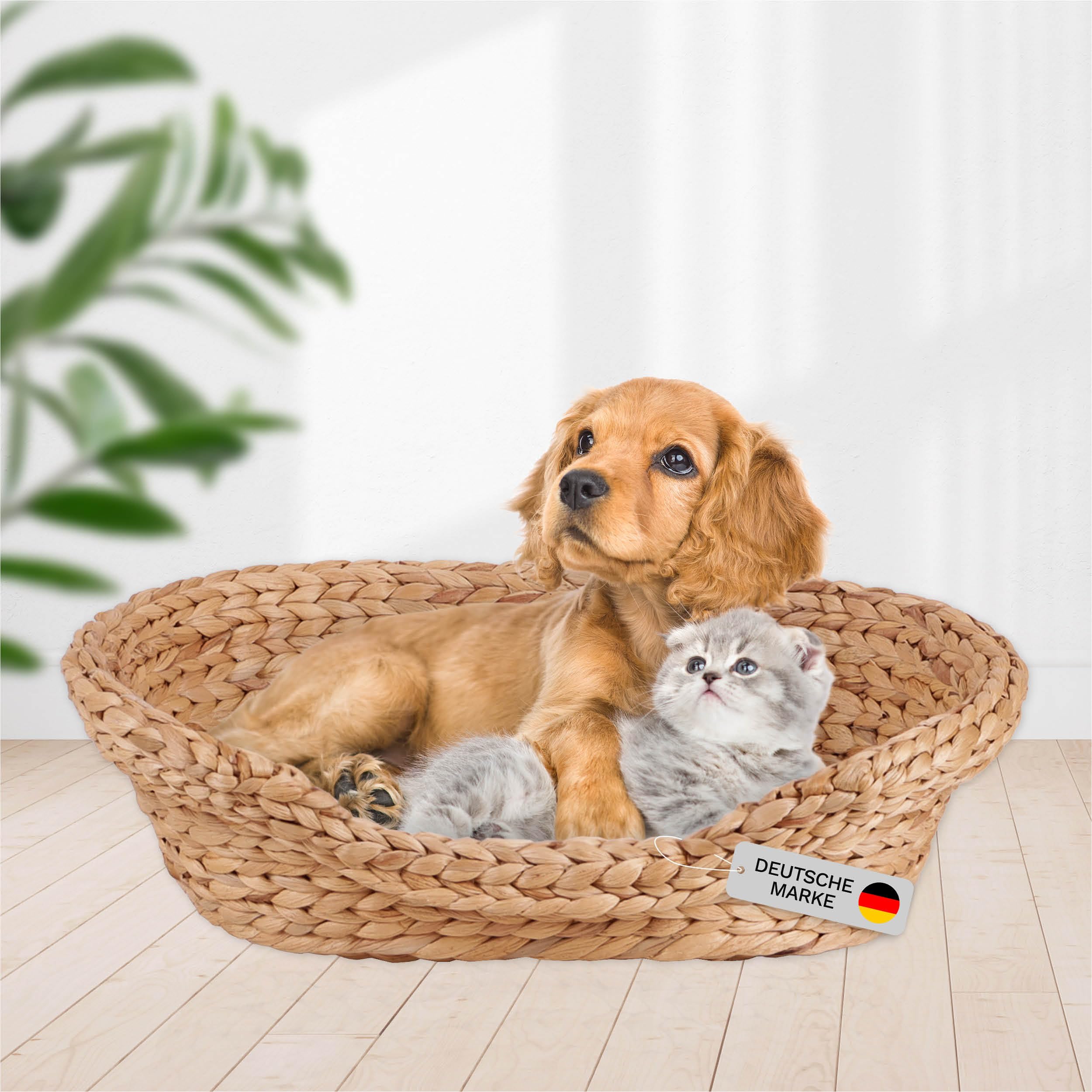 lycce-katzenbett-hundebett-oval-gr-1-wasserhyazinthe image 1