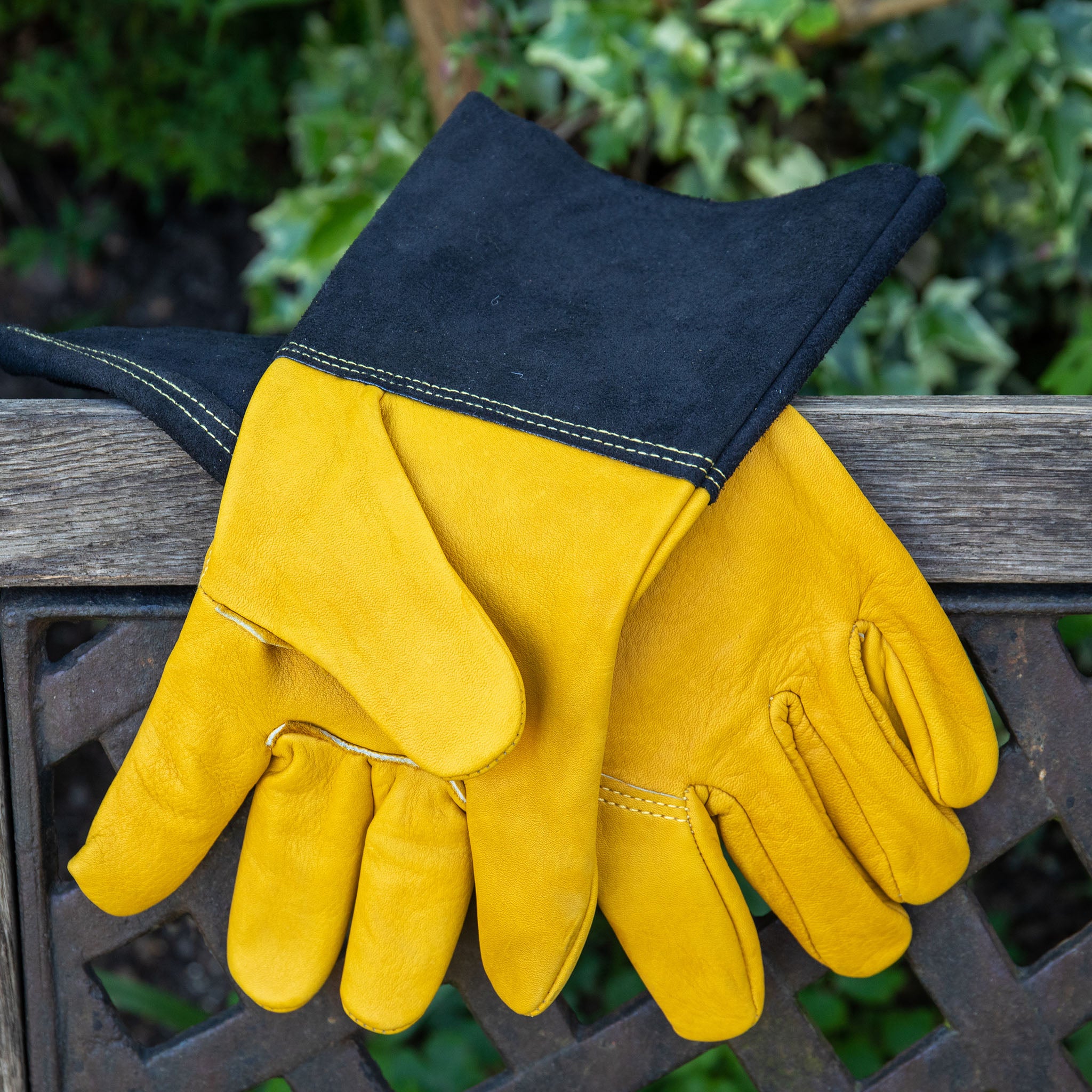 kent-stowe-luxury-leder-dorn-handschuhe-gauntlet-gro-l image 5