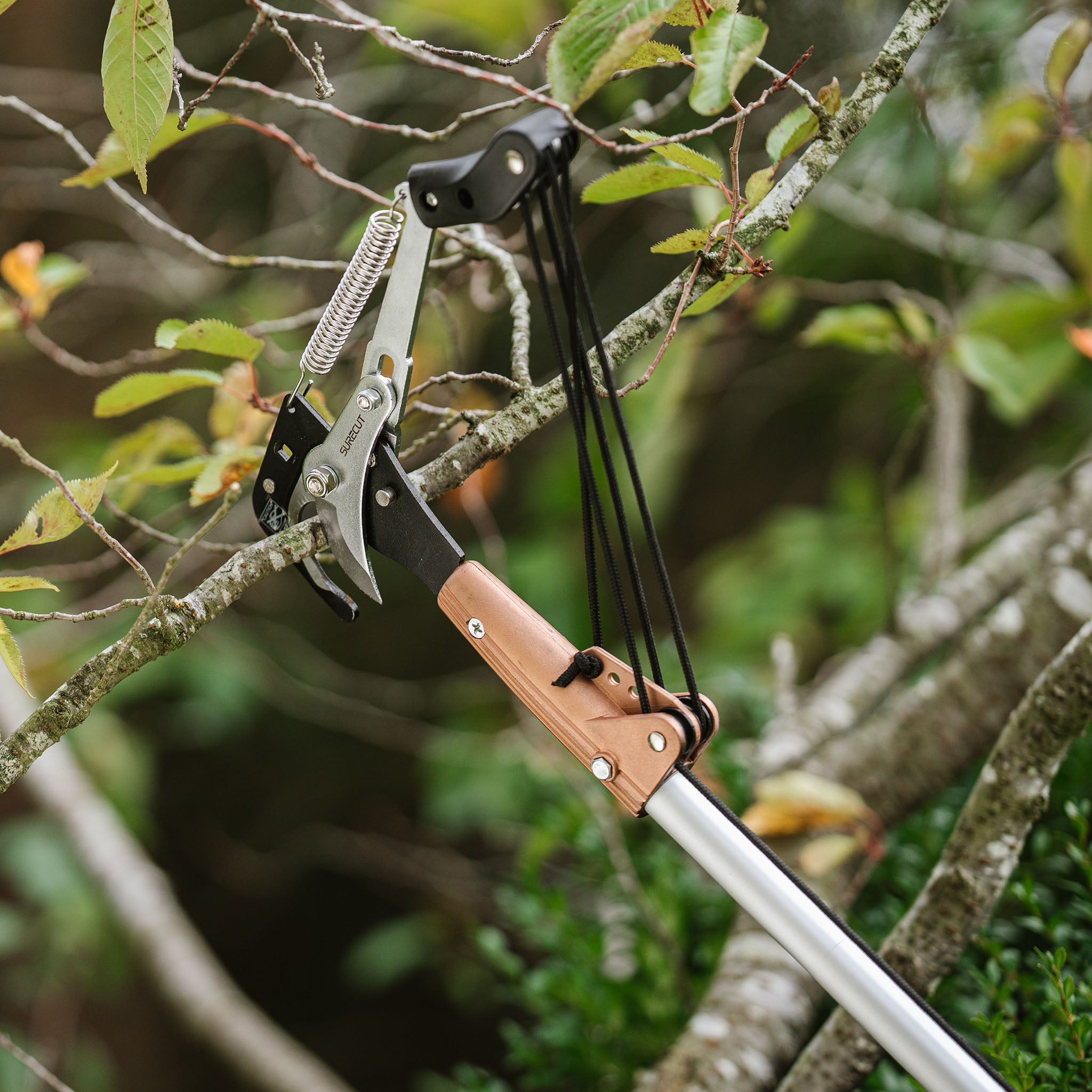 kent-stowe-telescopic-tree-lopper-3m-baumschnittschere image 2