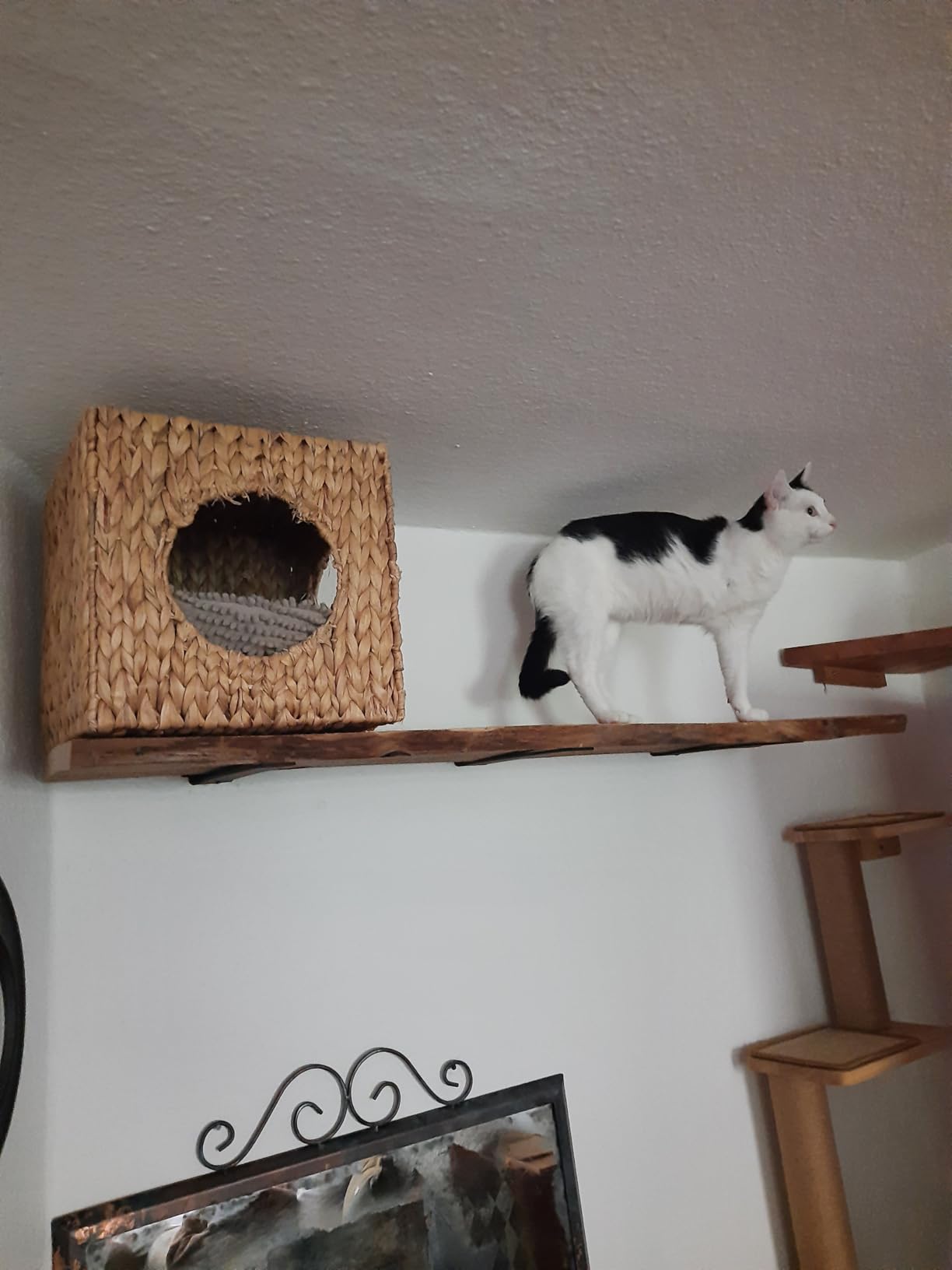 Schöne Höhle für die Wand